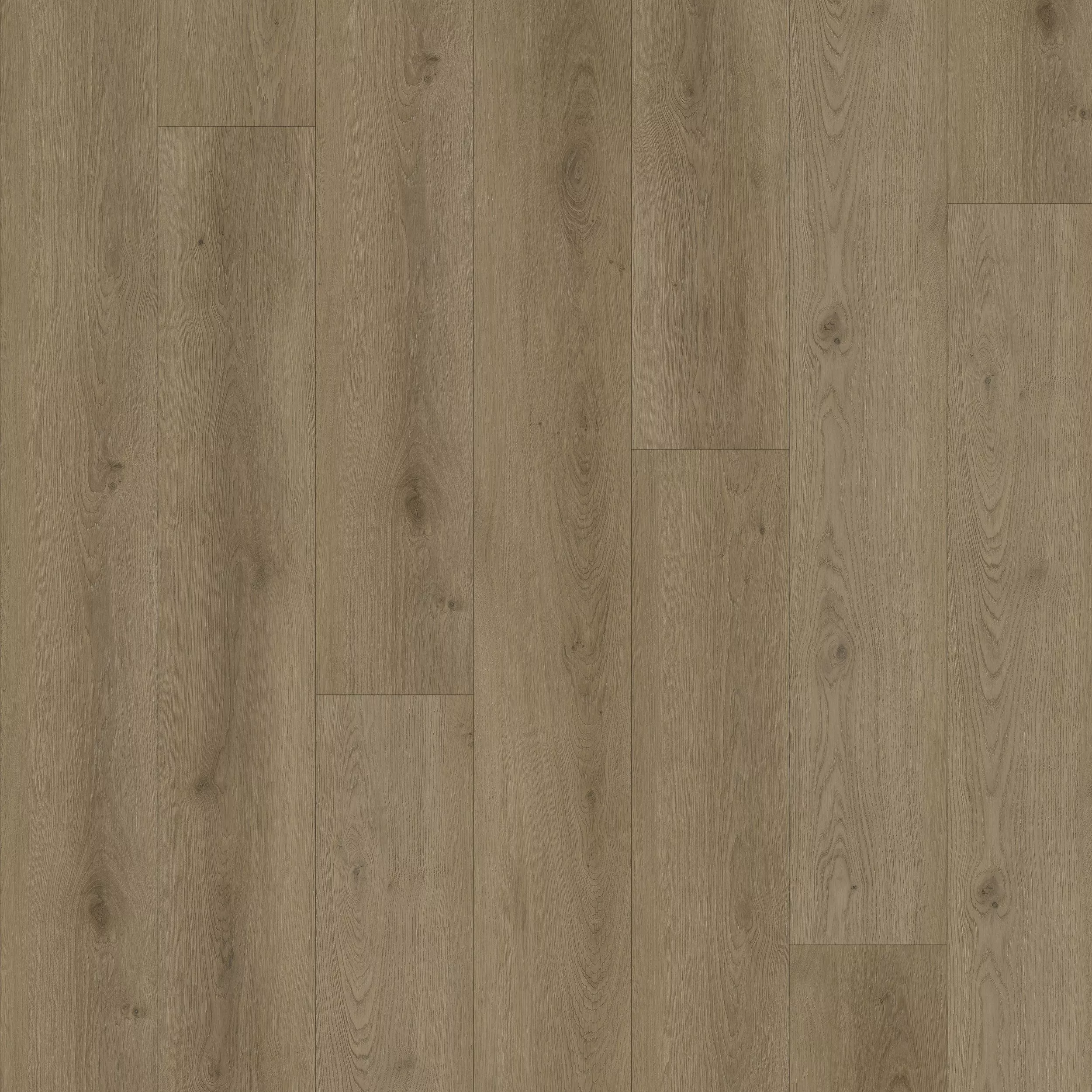 Nutmeg Rigid Core Luxury Vinyl Plank - Cork Back
