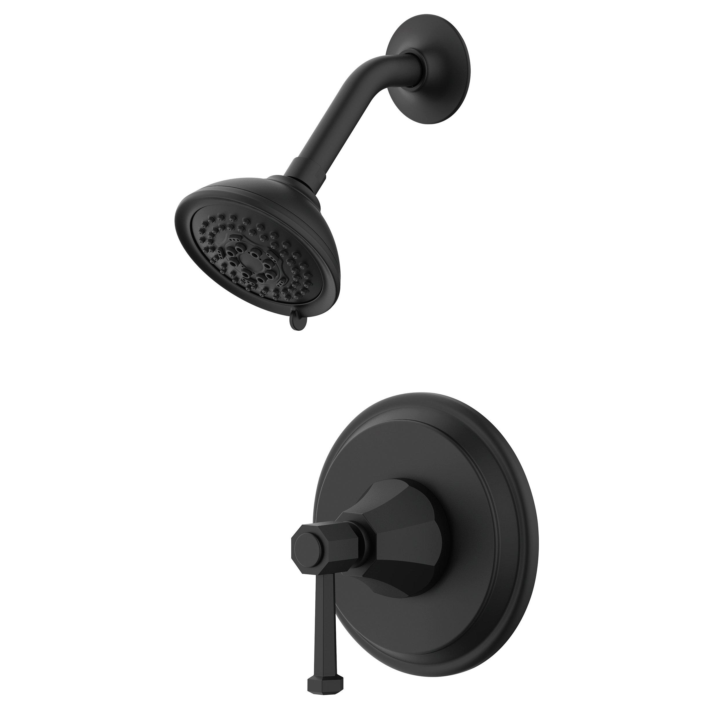 Fleur Matte Black Shower Head