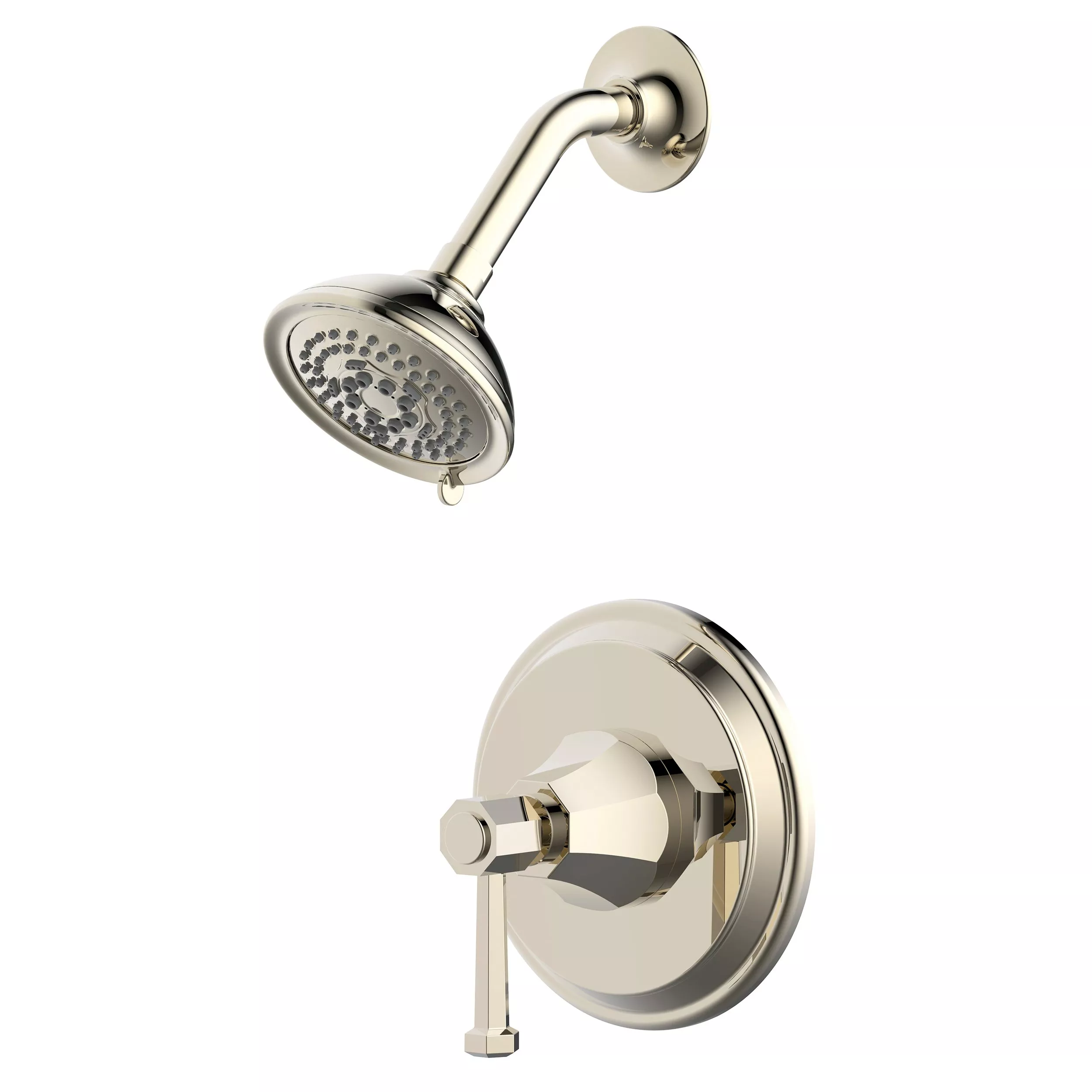 Fleur Polished Nickel Shower Head Floor and Decor