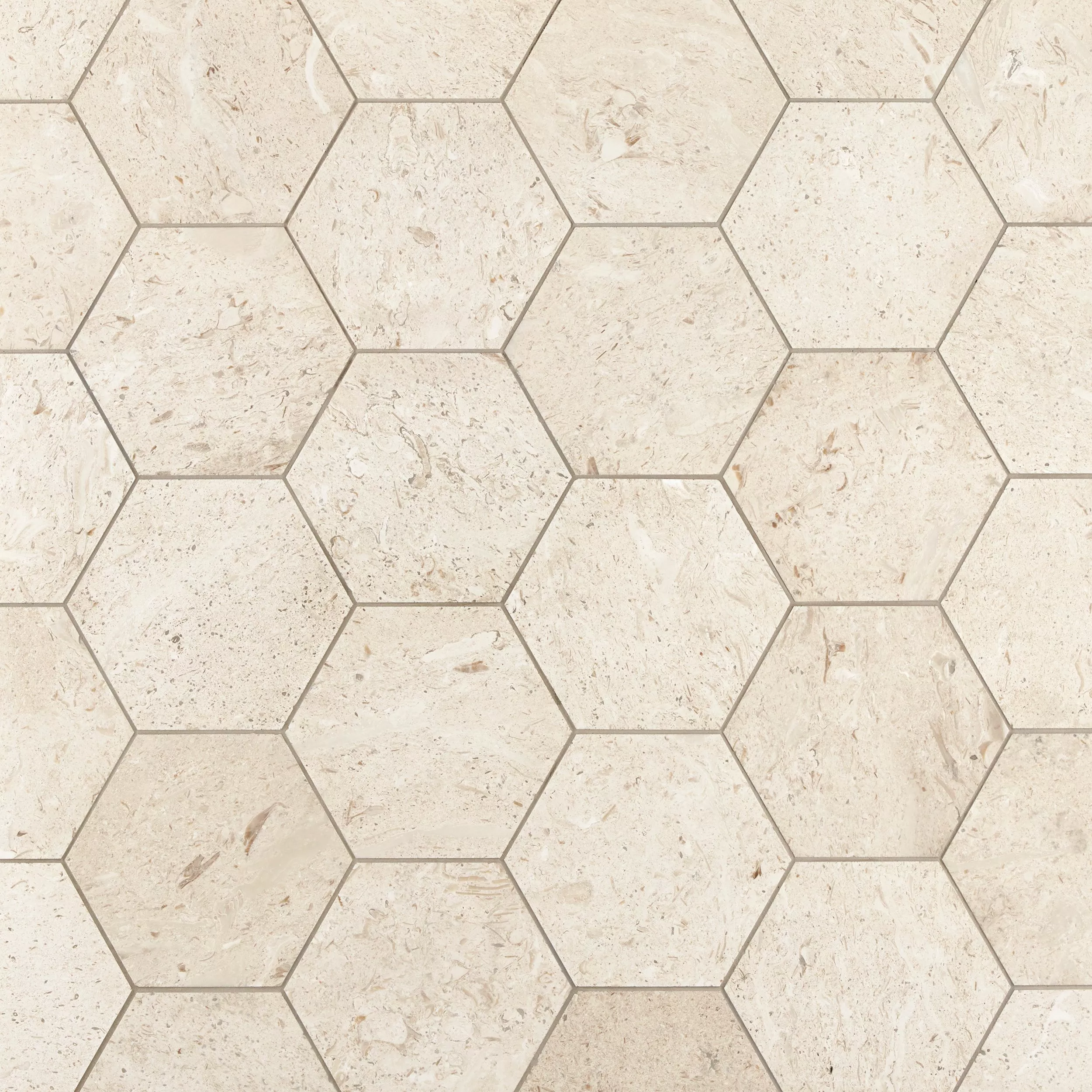 Fossil 8 in. Hexagon Brushed Limestone Tile