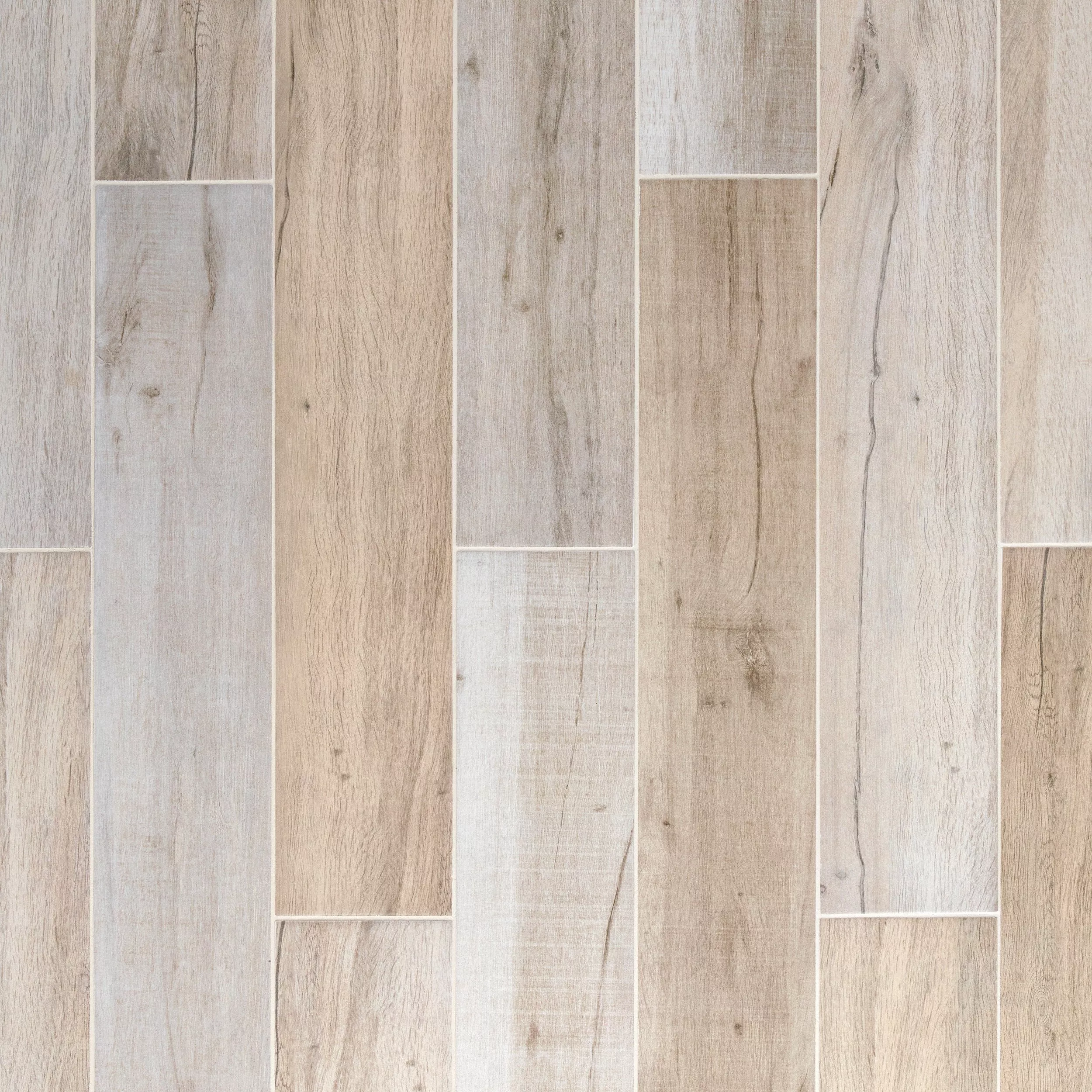 Birch Forest Gray III Porcelain Tile
