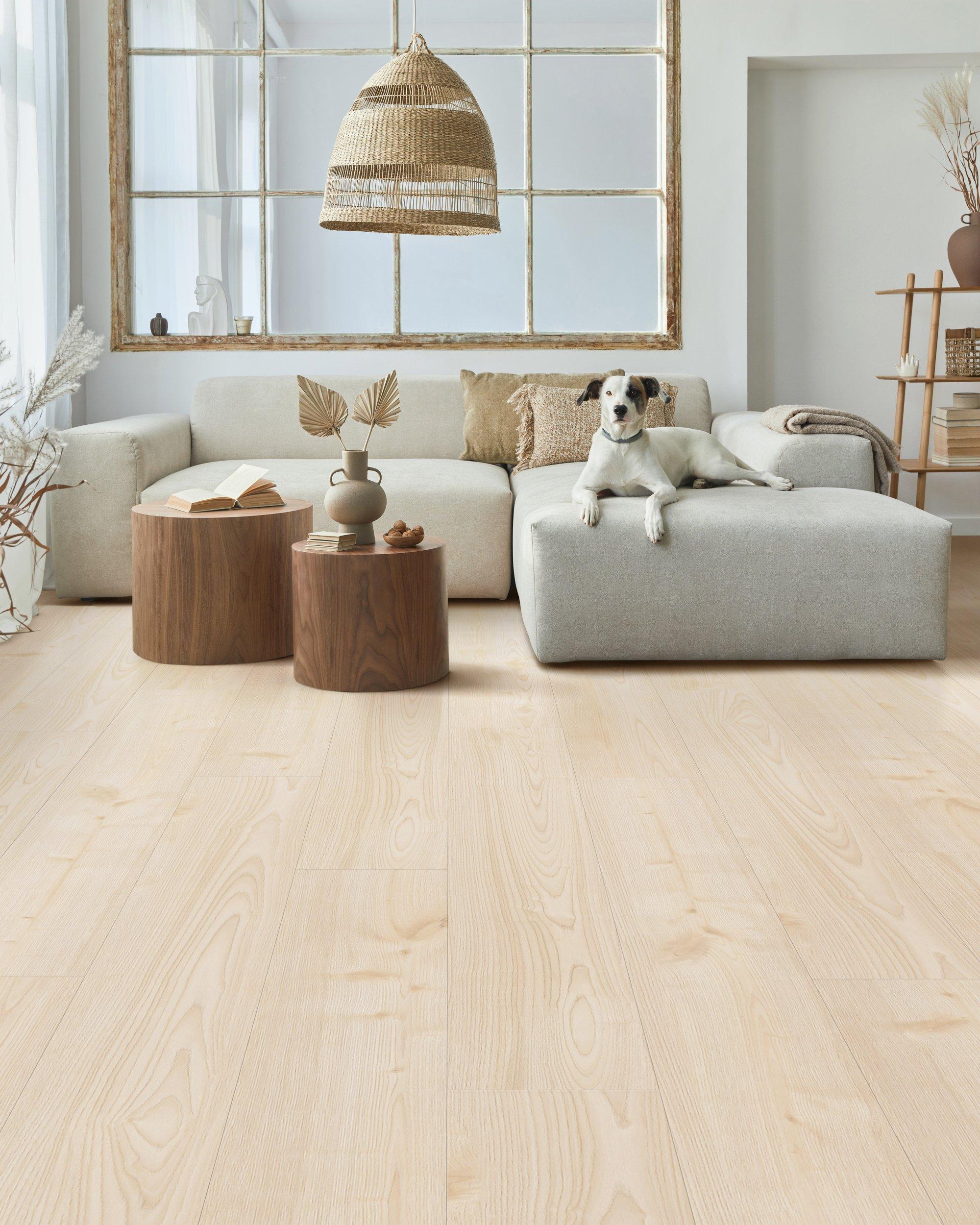 Blonde Oak Rigid Core Luxury Vinyl Plank - Cork Back Blonde Oak Rigid Core Luxury Vinyl Plank - Cork Back
