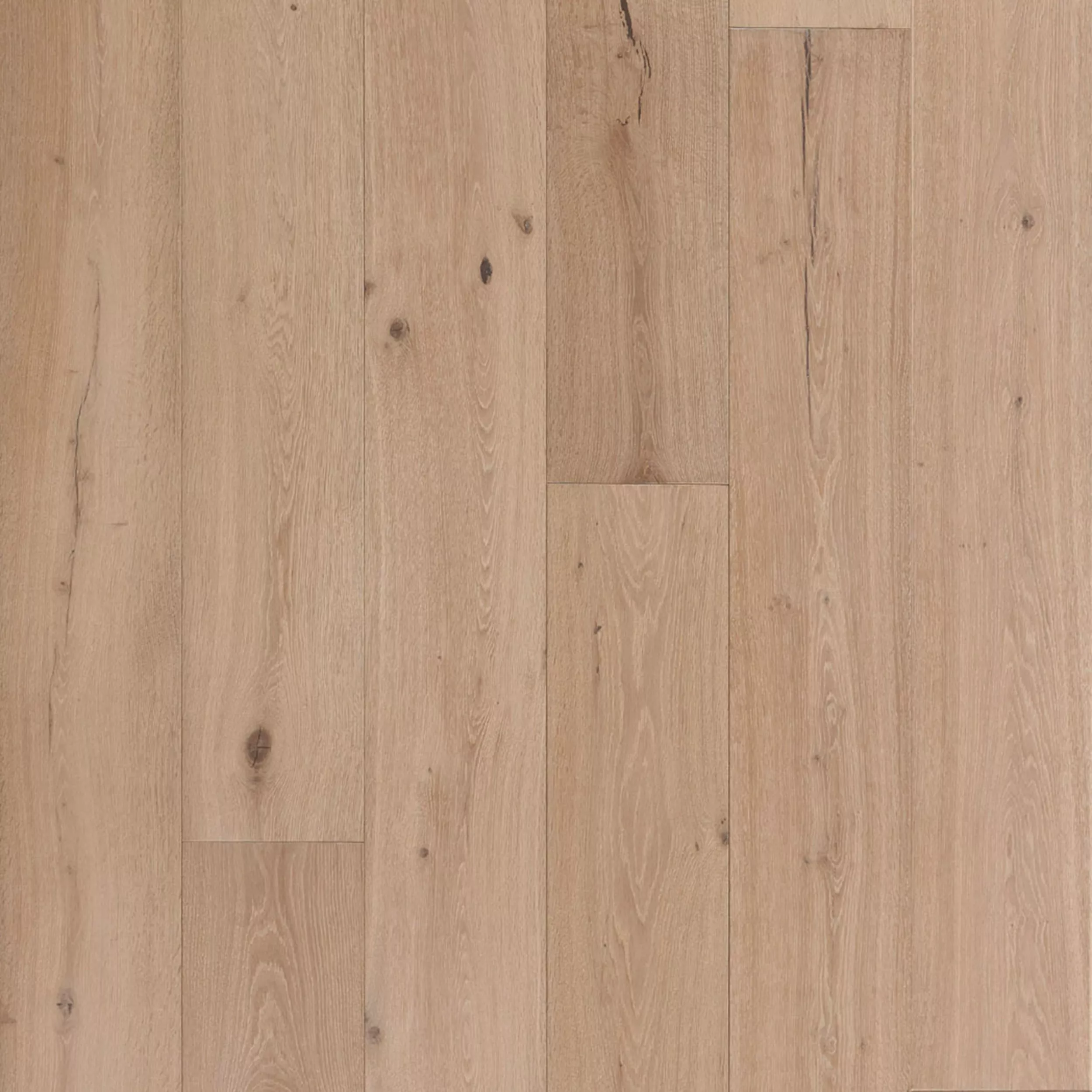 Sofia White Oak Wire-Brushed Engineered Hardwood