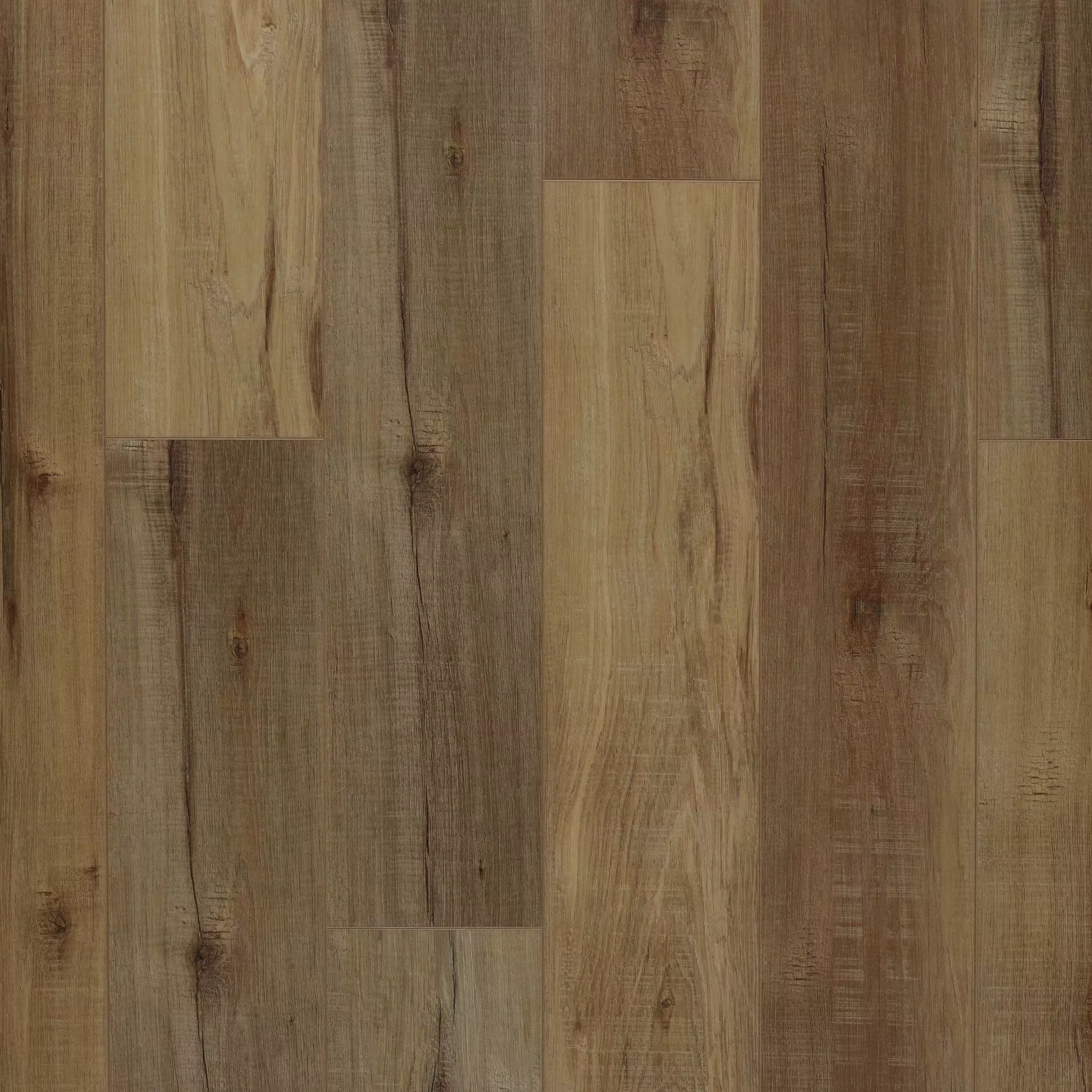 Pompano Pine Rigid Core Luxury Vinyl Plank - Cork Back
