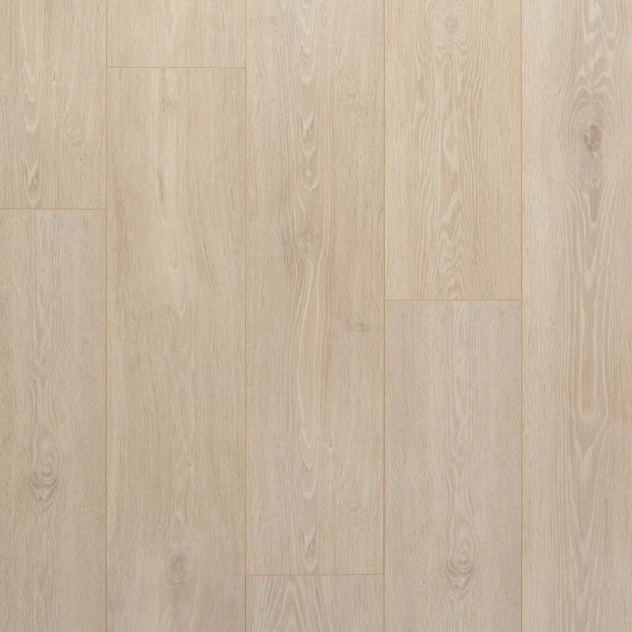 Maison Blanc Rigid Core Luxury Vinyl Plank - Cork Back