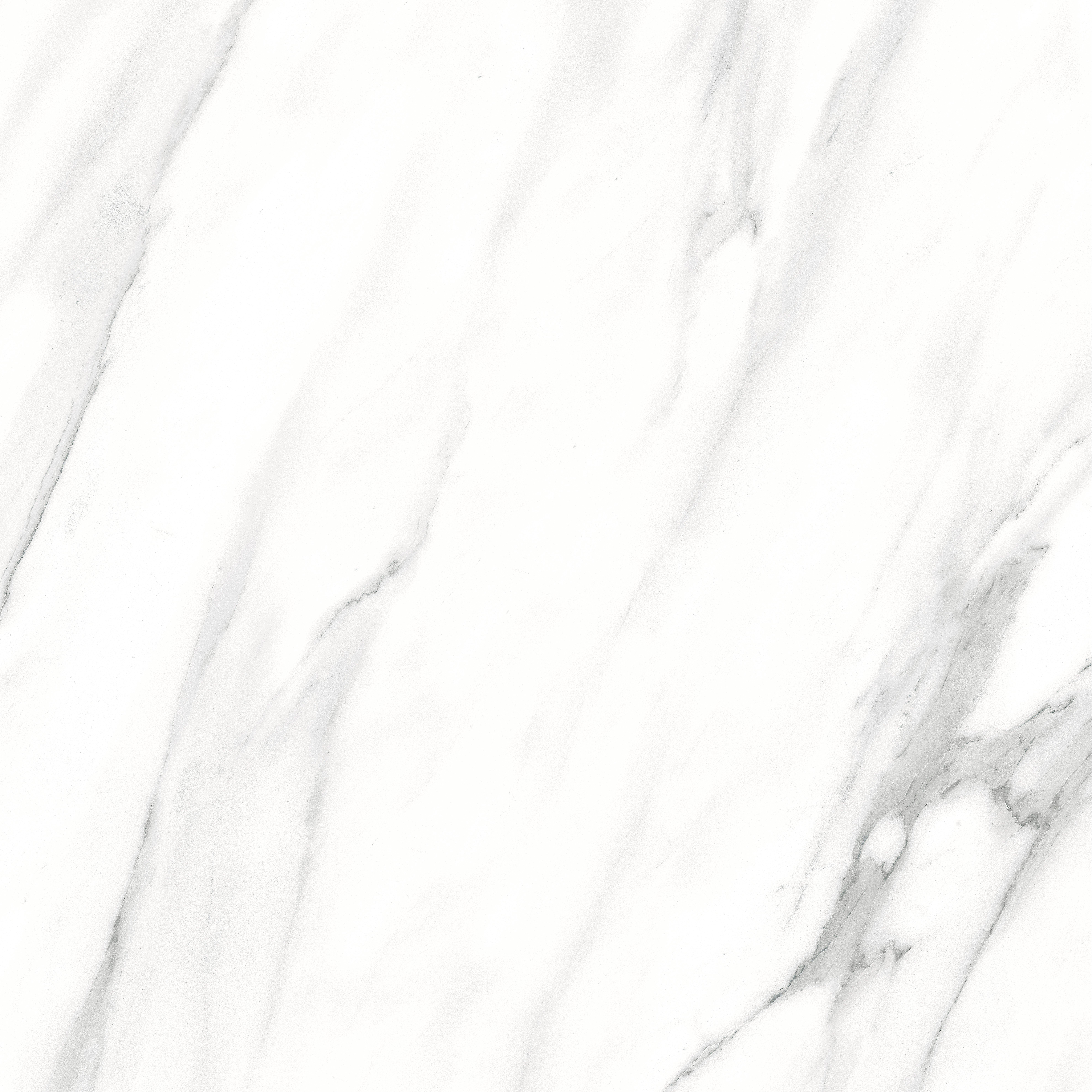 Alto Bianco Polished Porcelain Tile
