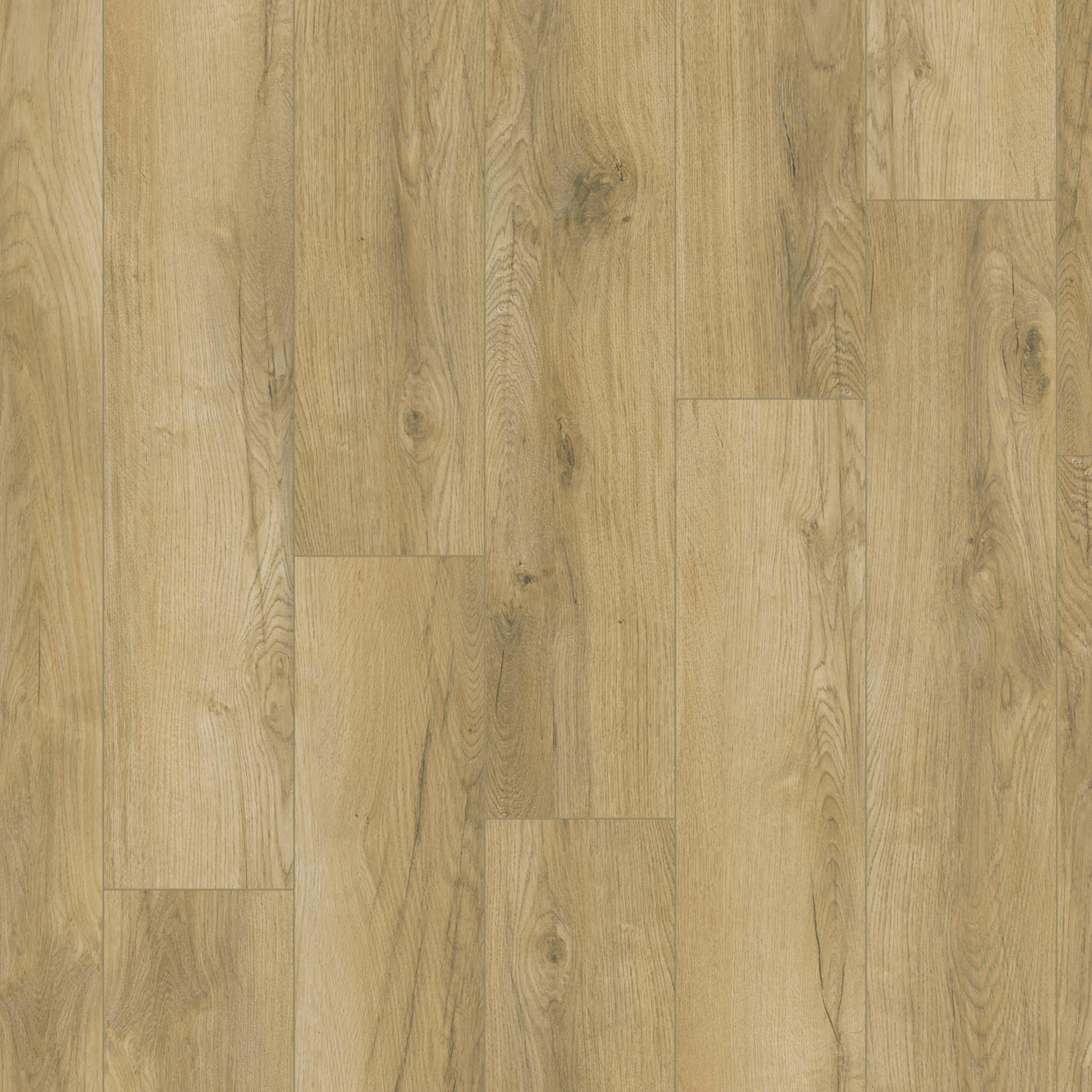 Fairborn Blonde Waterproof Rigid Core Luxury Vinyl Plank - Cork Pad