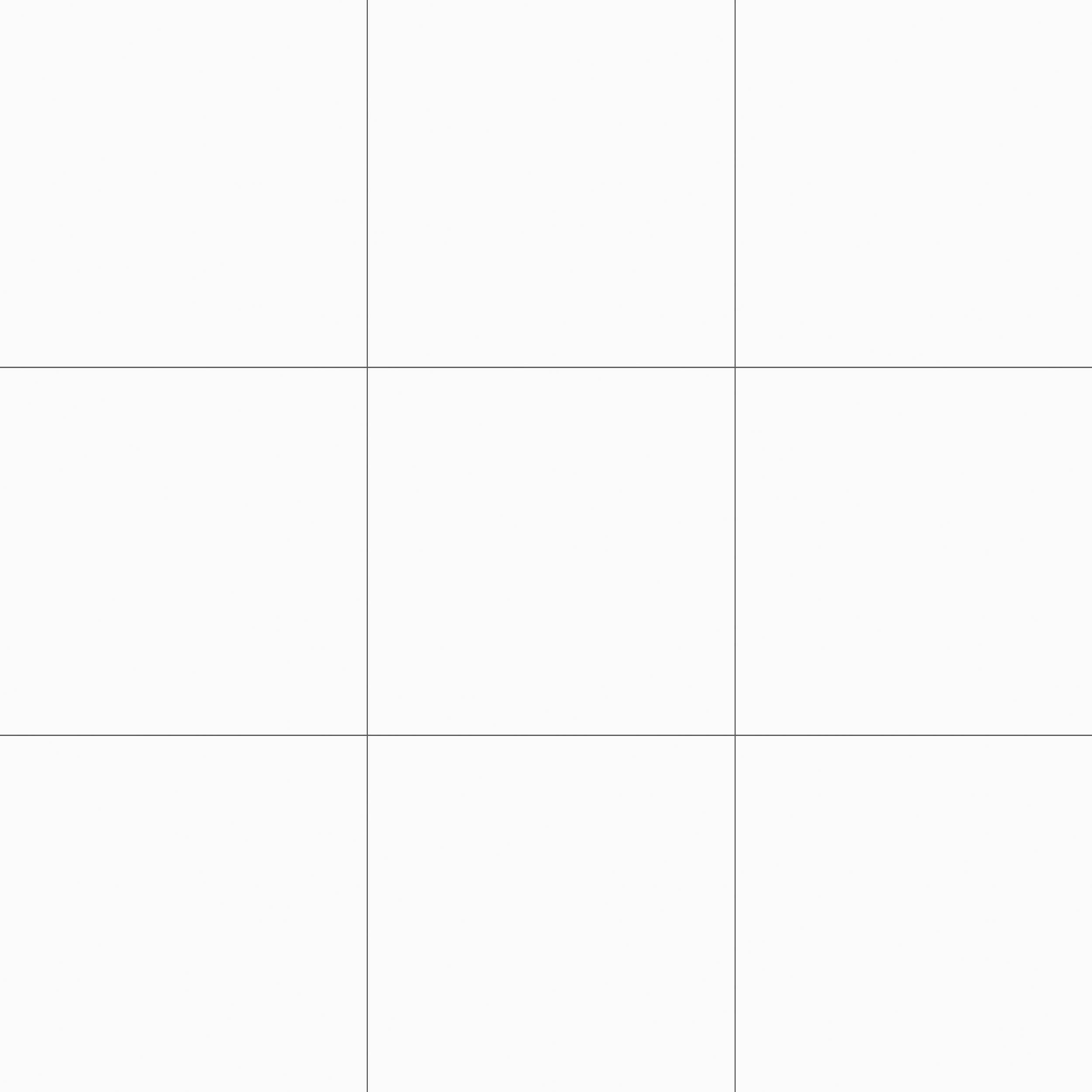 Renaissance White Ceramic Tile