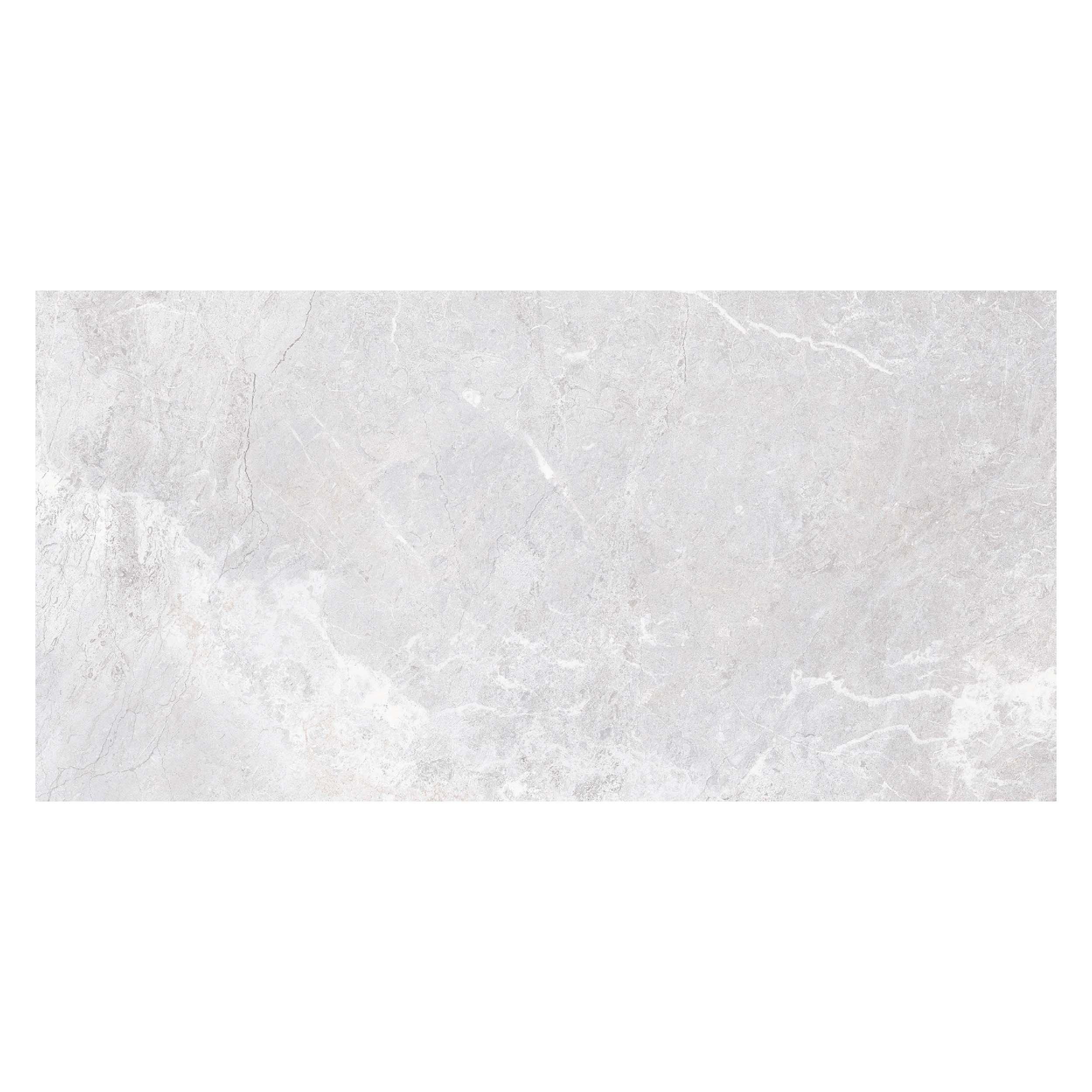 Forte Silver Matte Porcelain Tile