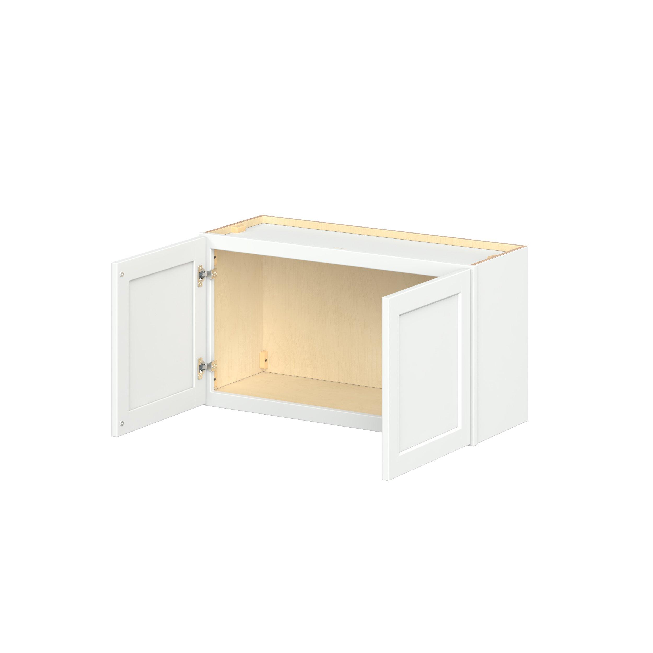 Baxley 2 Door Wall Cabinet