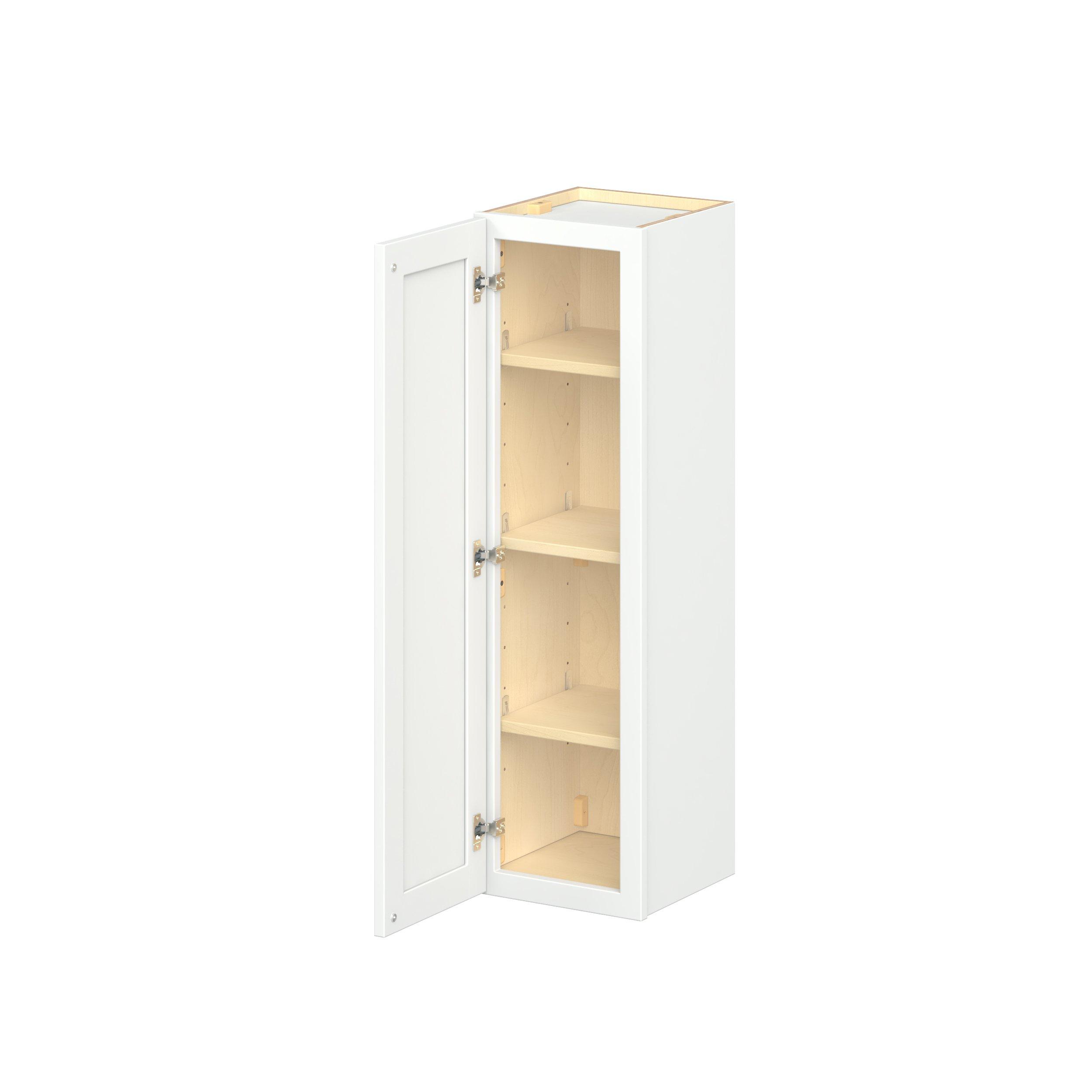 Baxley 1 Door Wall Cabinet