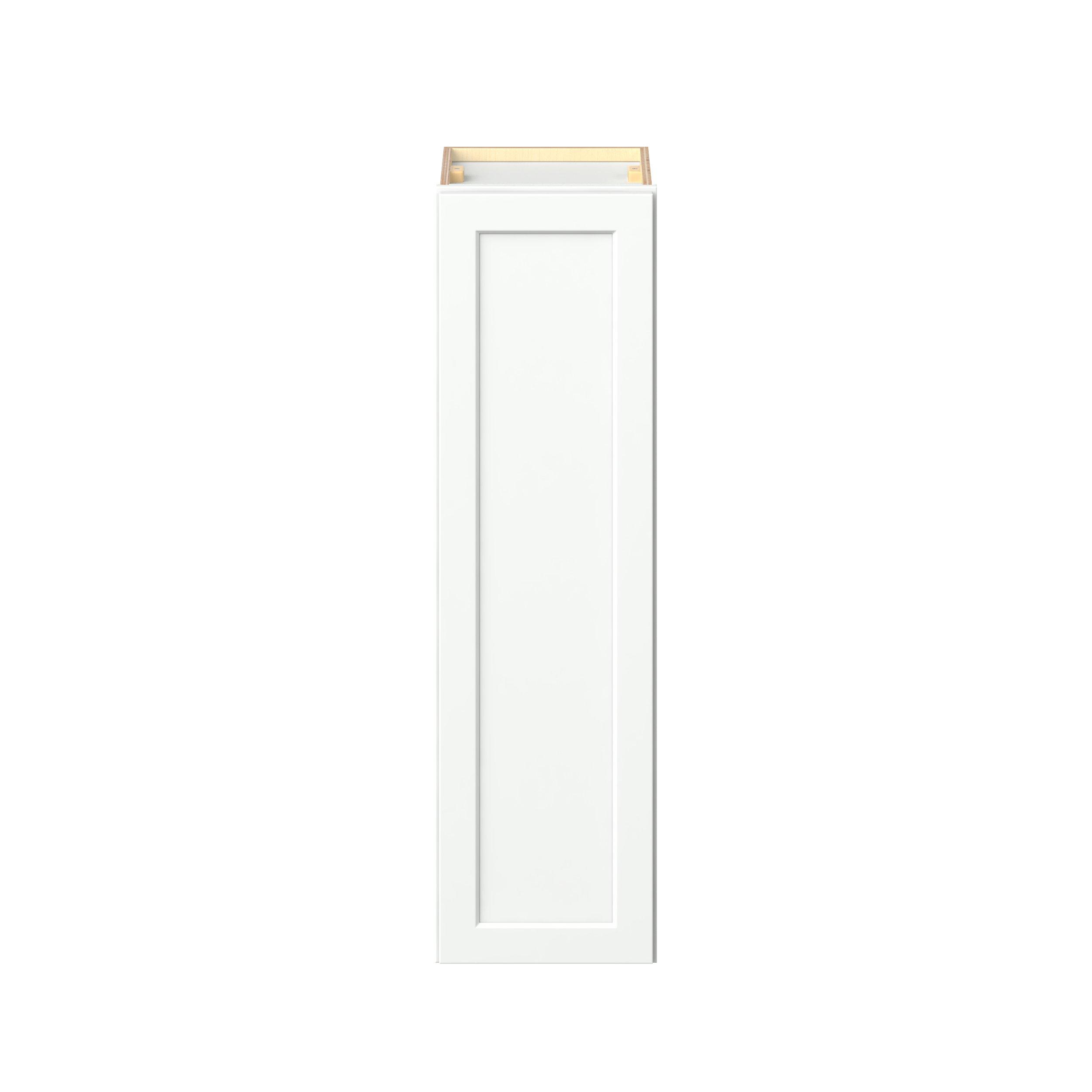 Baxley 1 Door Wall Cabinet