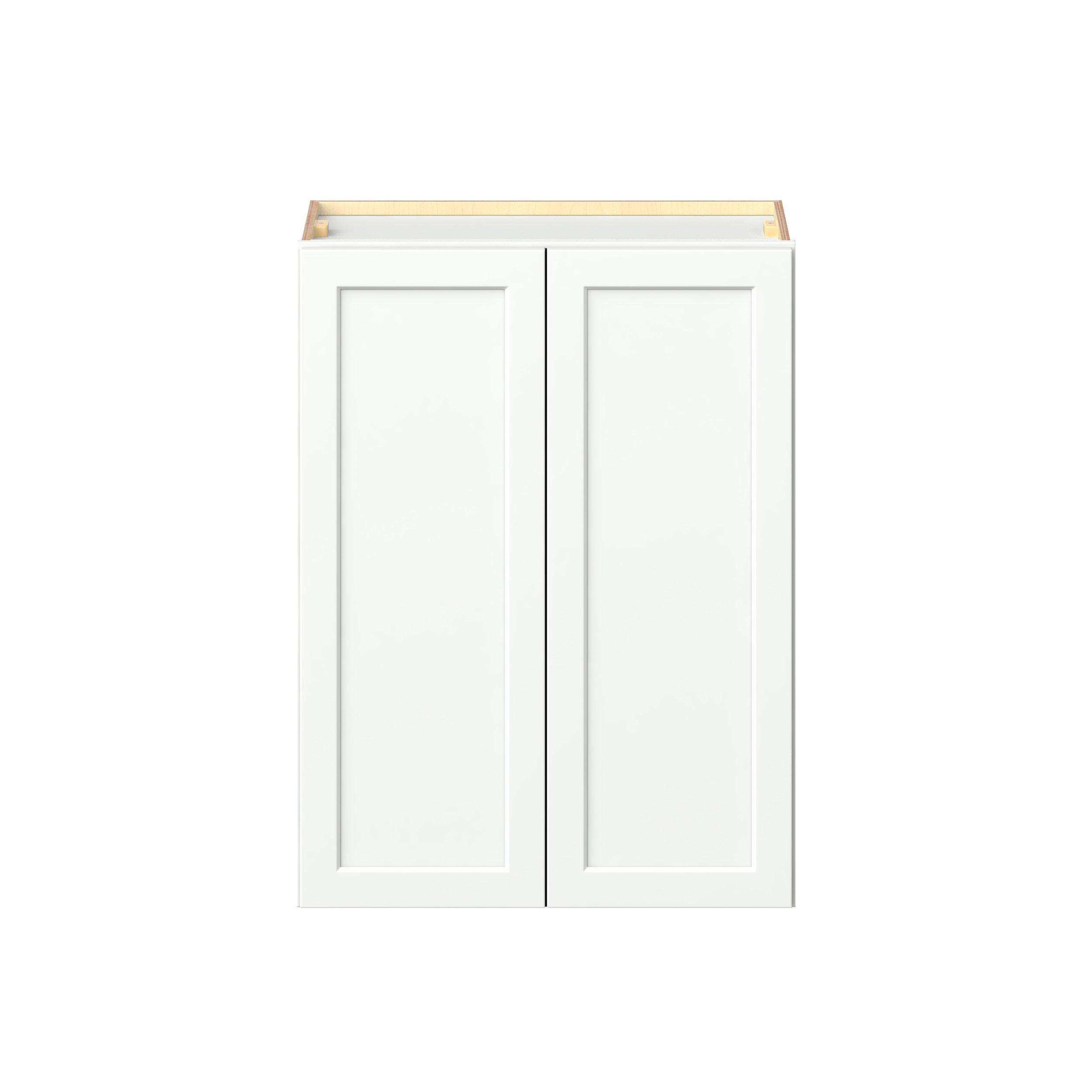 Baxley 2 Door Wall Cabinet