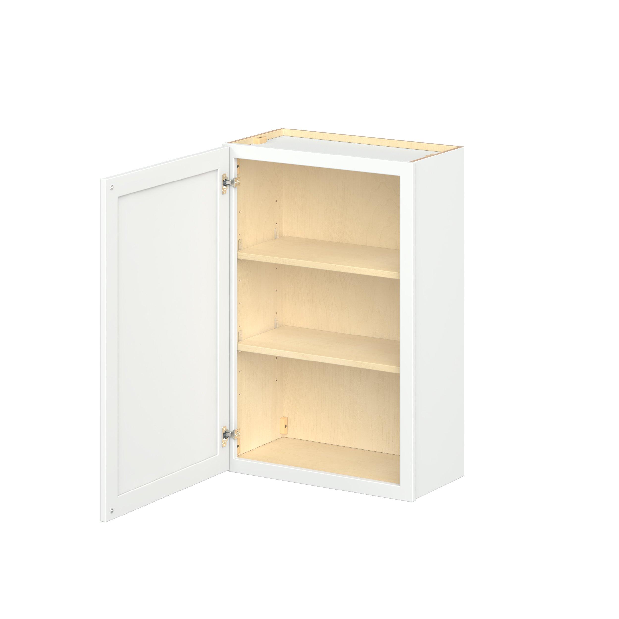 Baxley 24 in. Painted Pure White Door Wall Cabinet