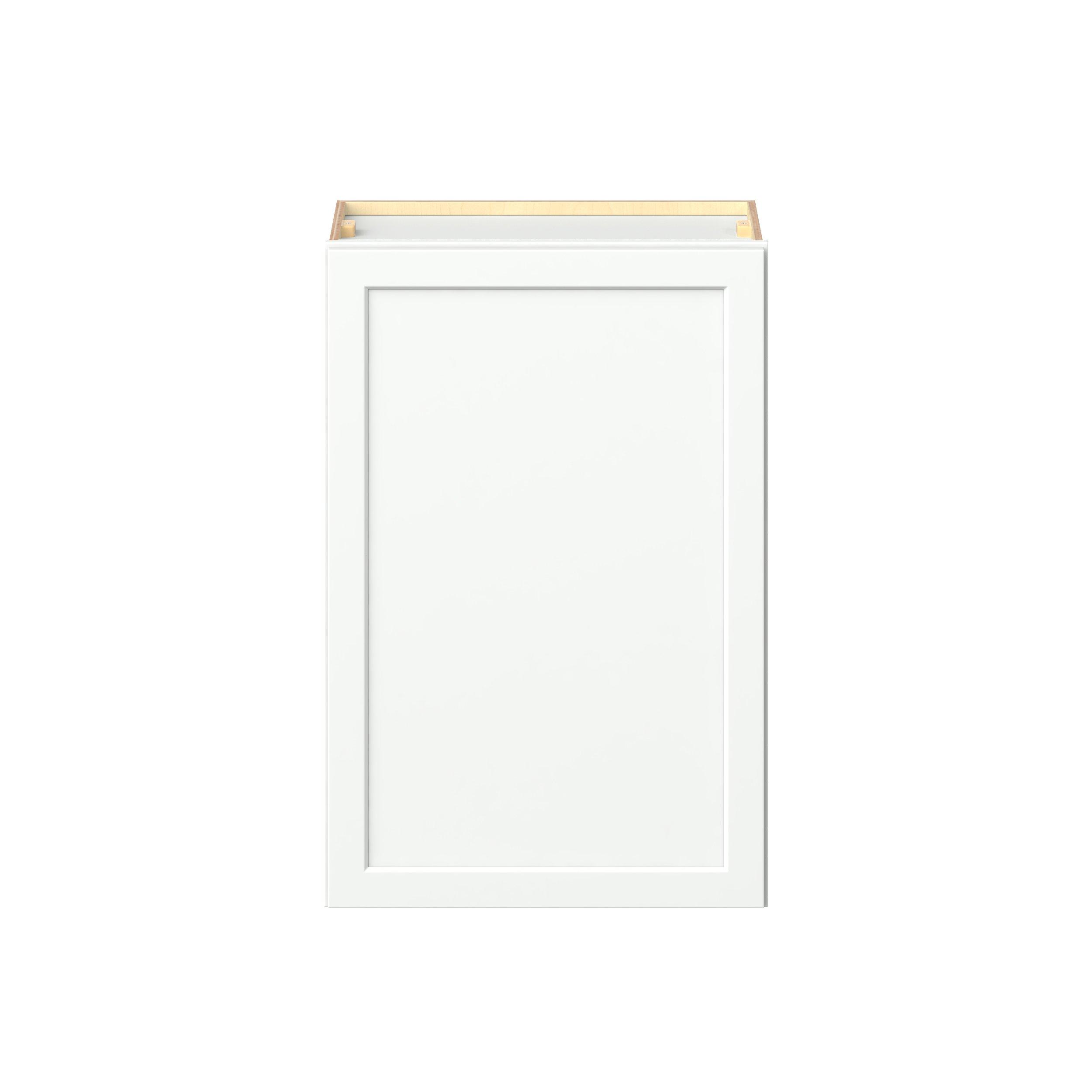 Baxley 24 in. Painted Pure White Door Wall Cabinet