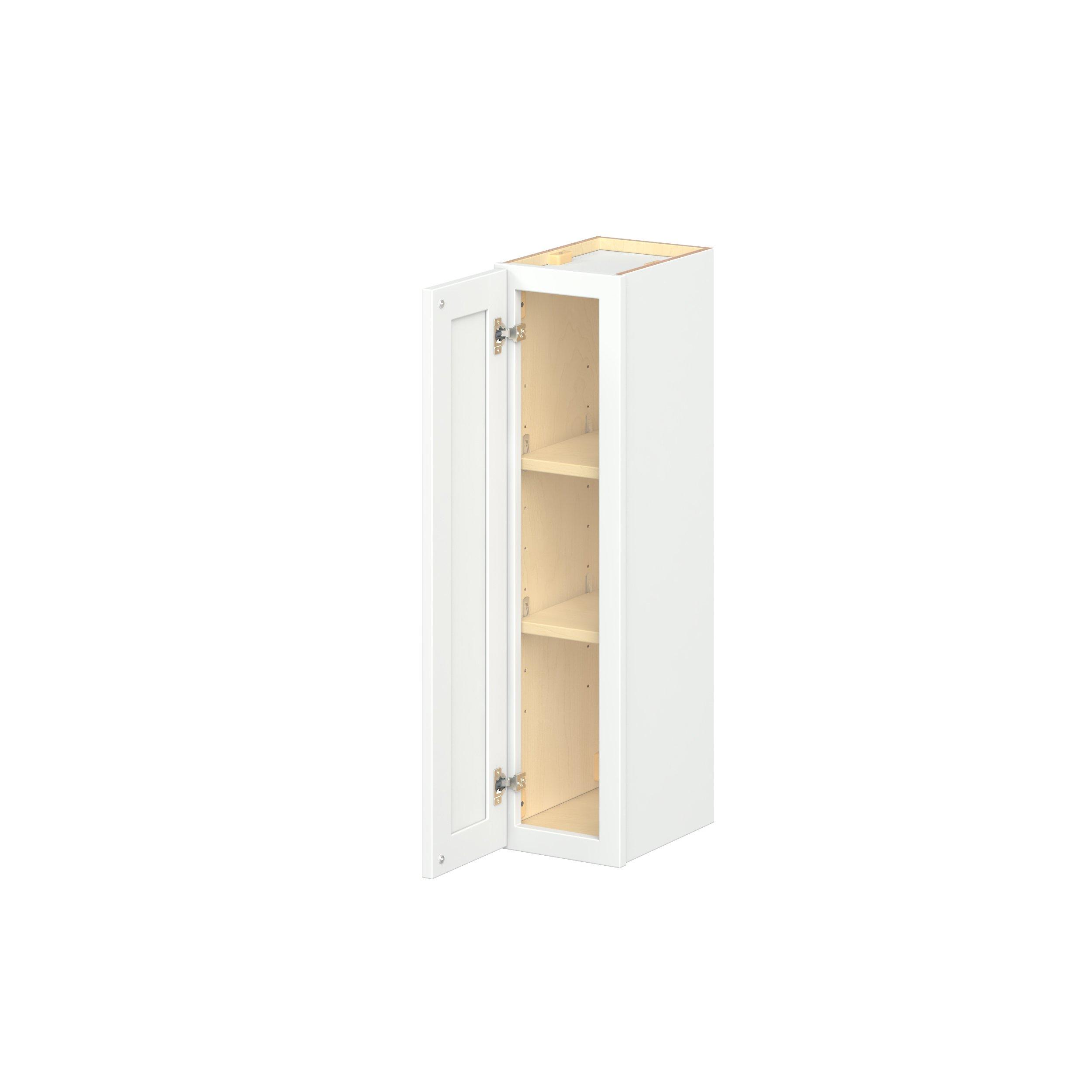 Baxley 1 Door Wall Cabinet