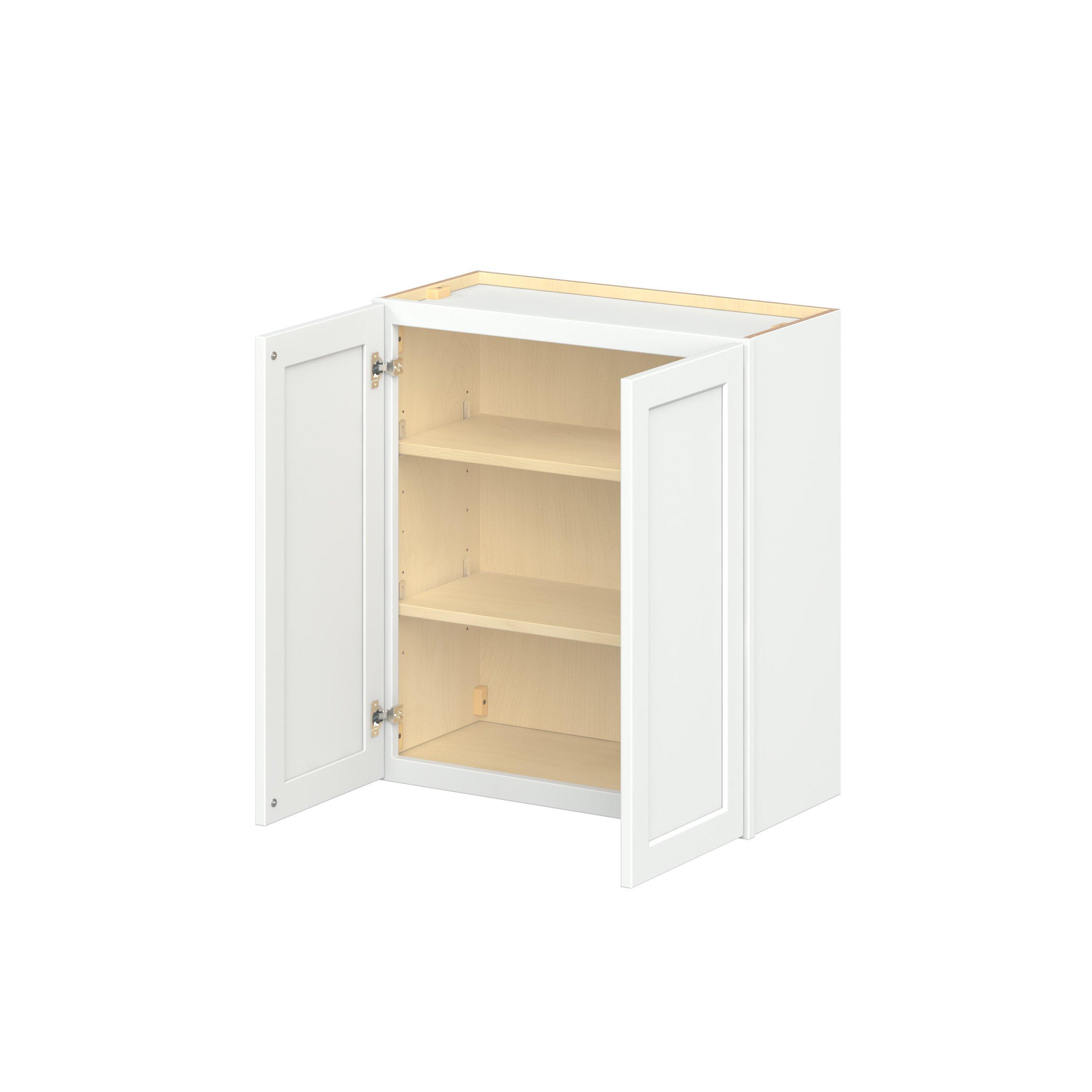 Baxley 2 Door Wall Cabinet