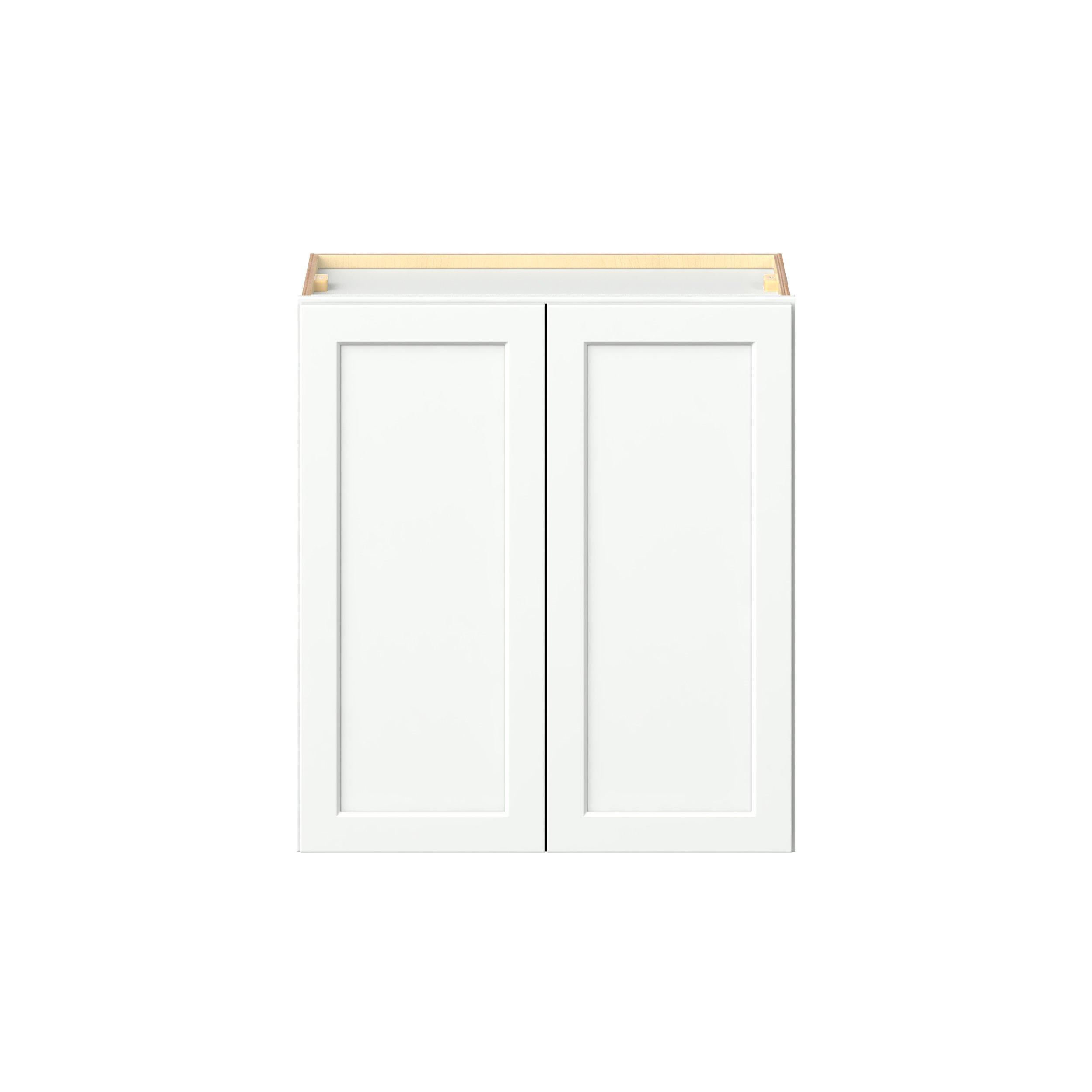 Baxley 2 Door Wall Cabinet