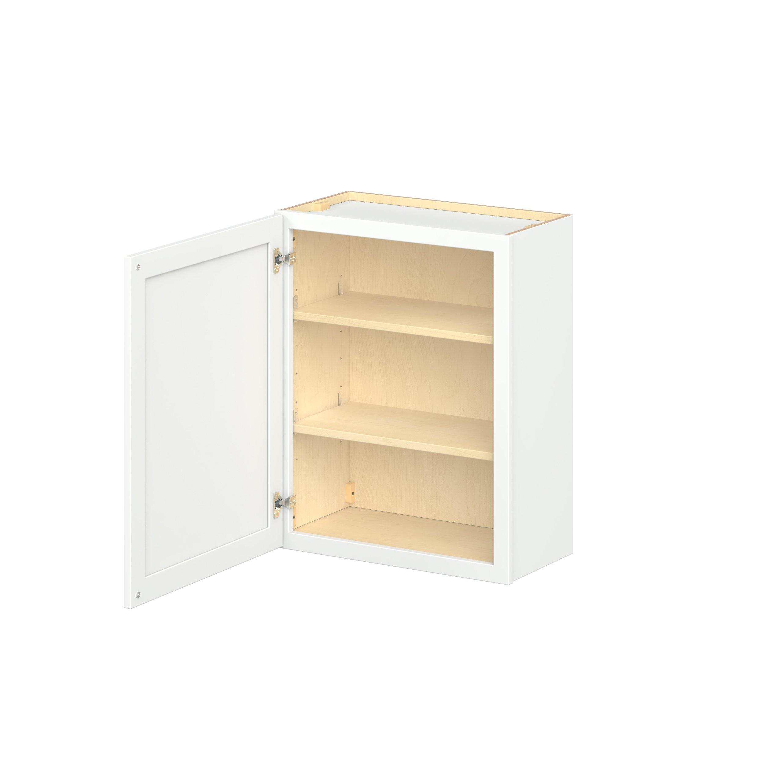 Baxley 24 in. Painted Pure White Door Wall Cabinet