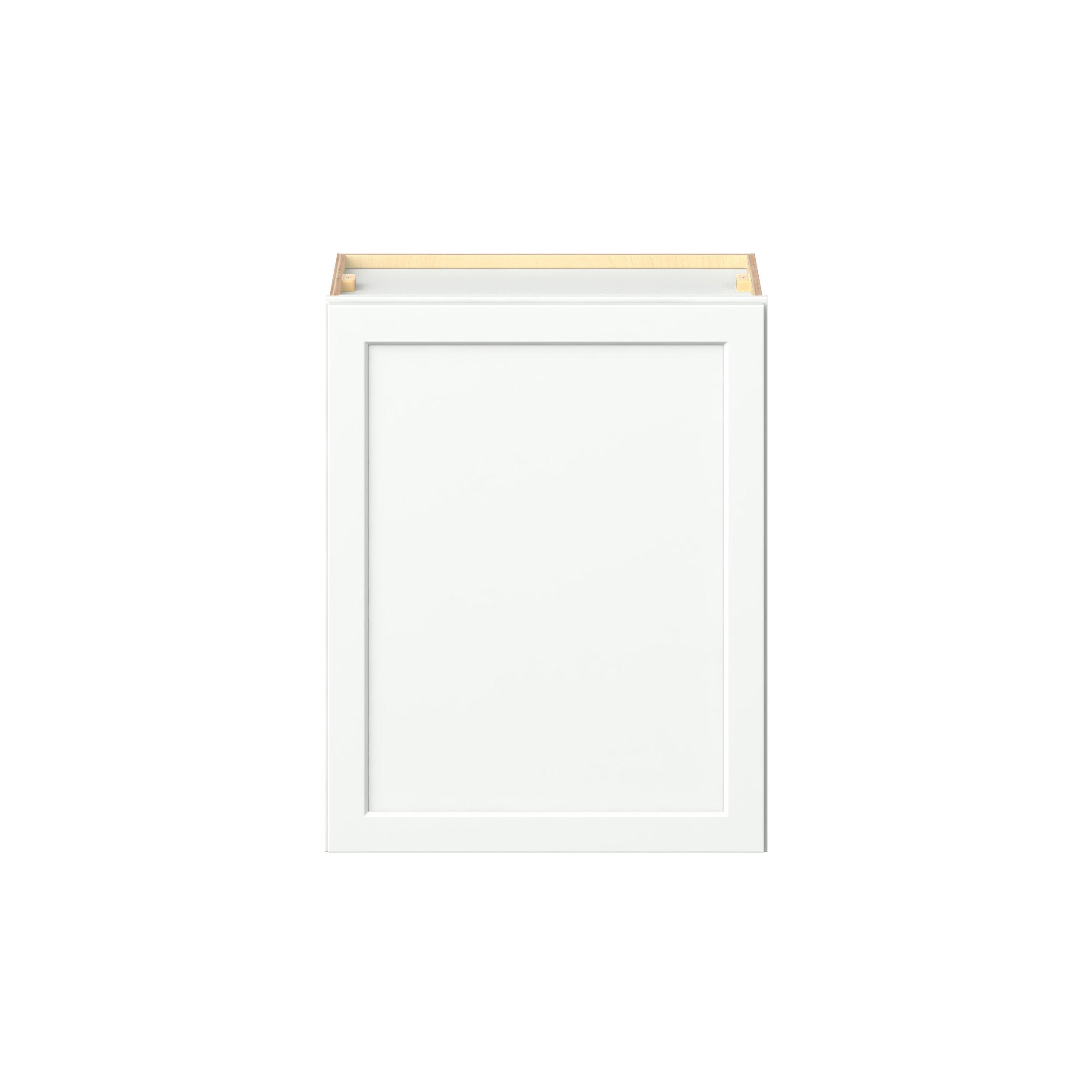 Baxley 24 in. Painted Pure White Door Wall Cabinet
