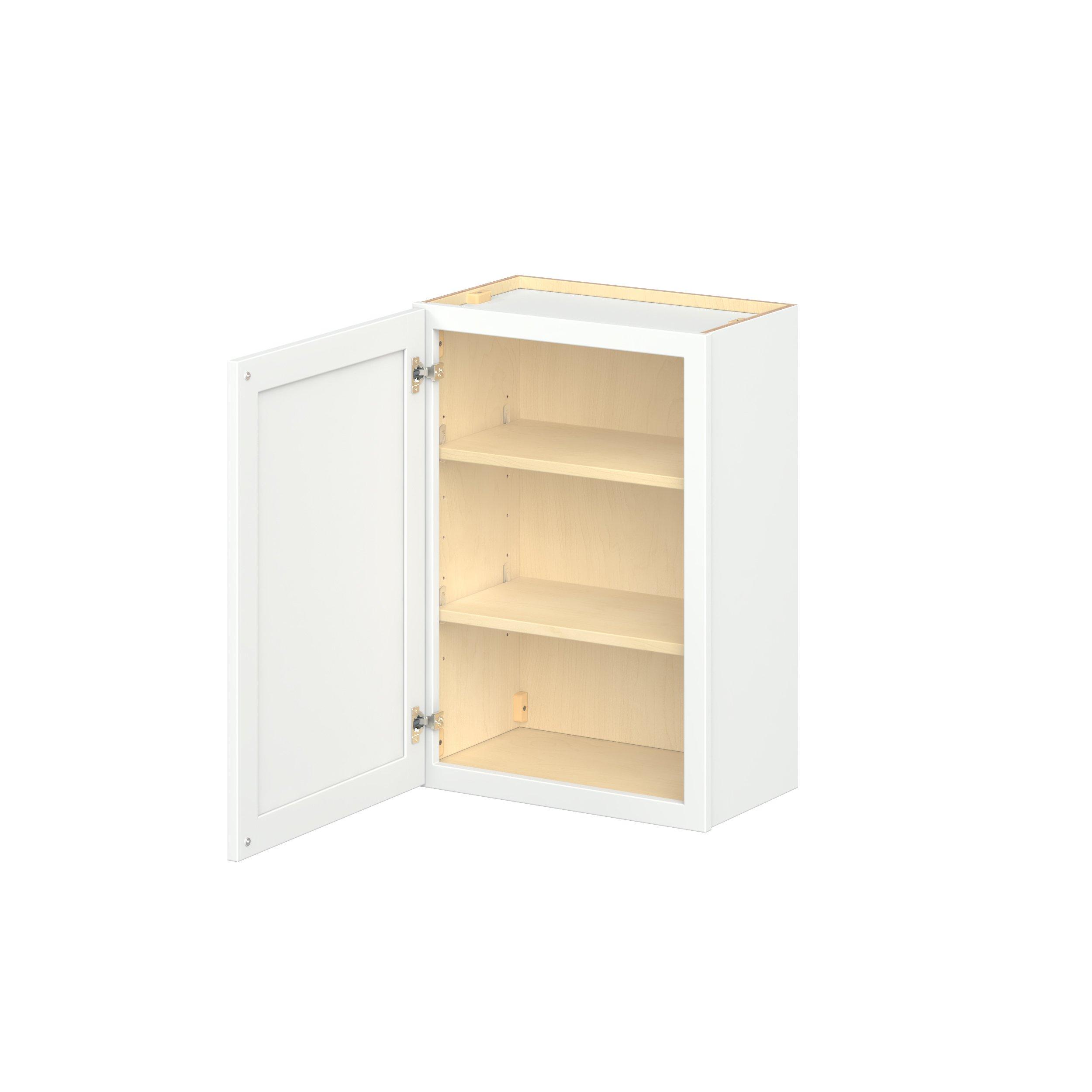 Baxley 21 in. Painted Pure White Door Wall Cabinet