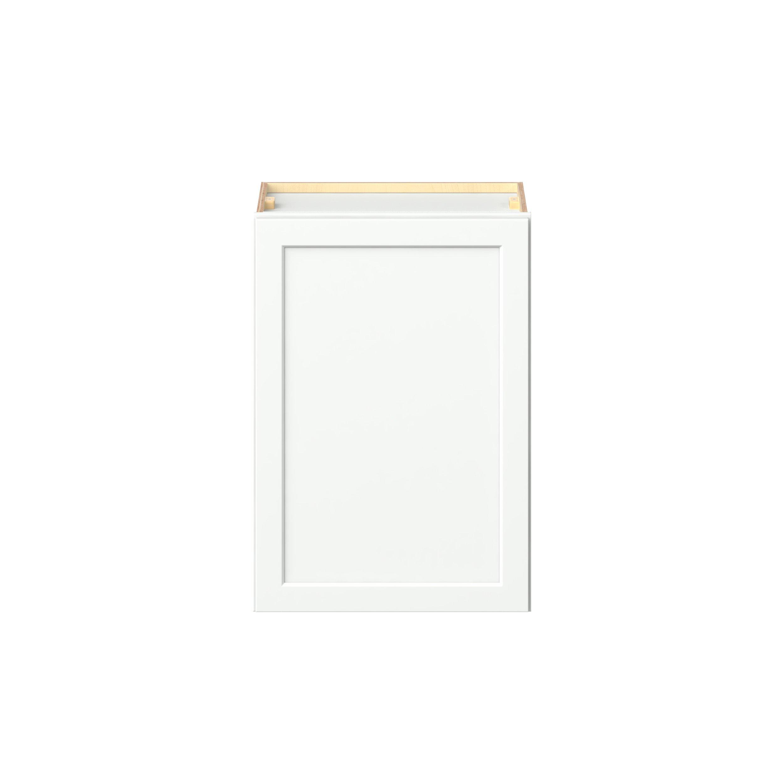Baxley 21 in. Painted Pure White Door Wall Cabinet