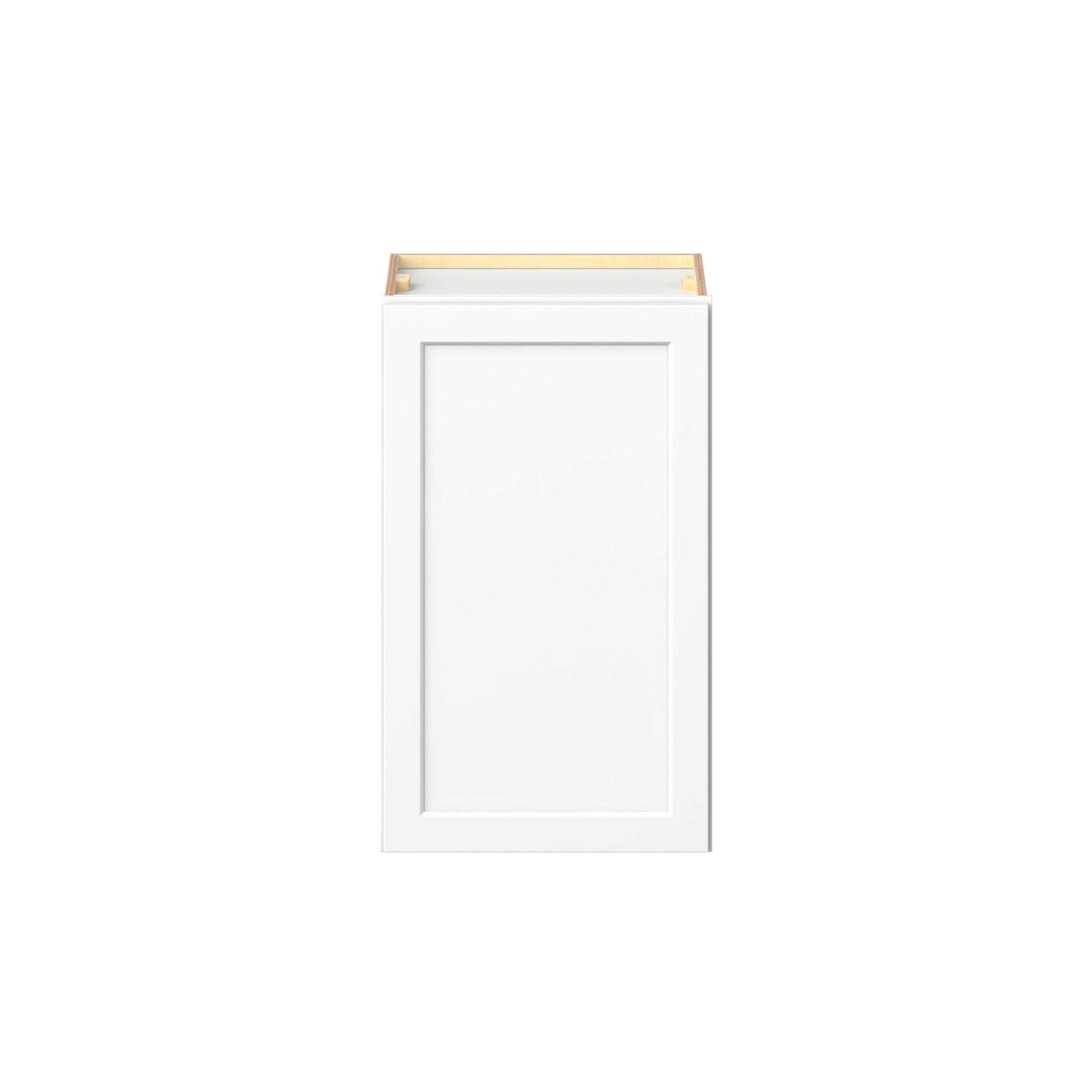 Baxley 18 in. Painted Pure White Door Wall Cabinet