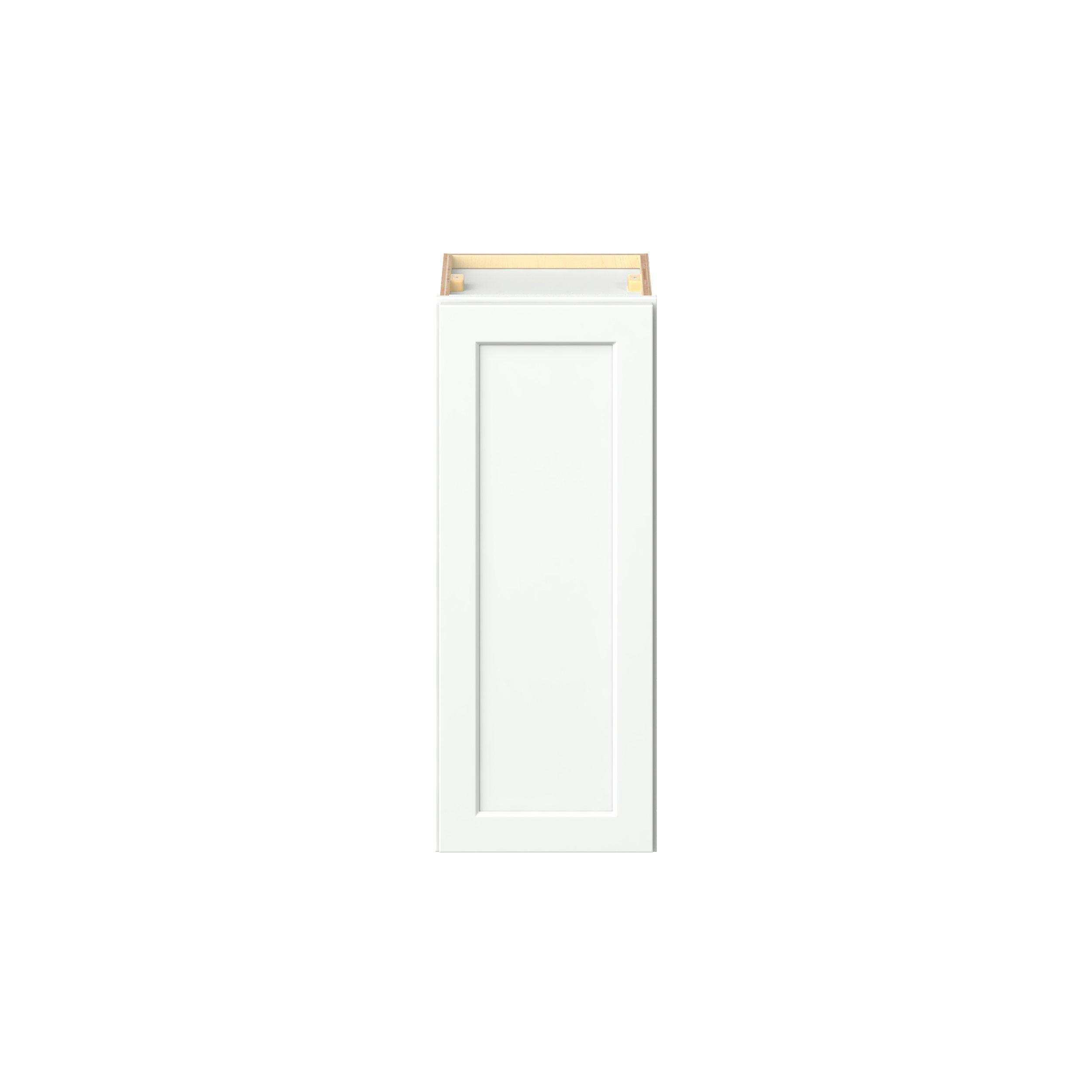 Baxley 12 in. Painted Pure White Door Wall Cabinet
