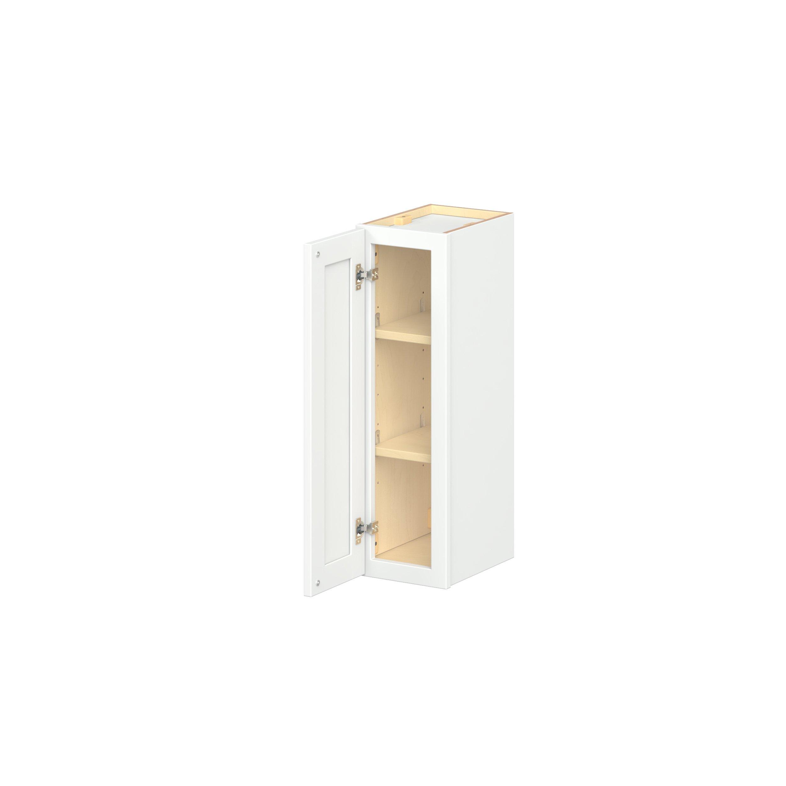 Baxley 1 Door Wall Cabinet