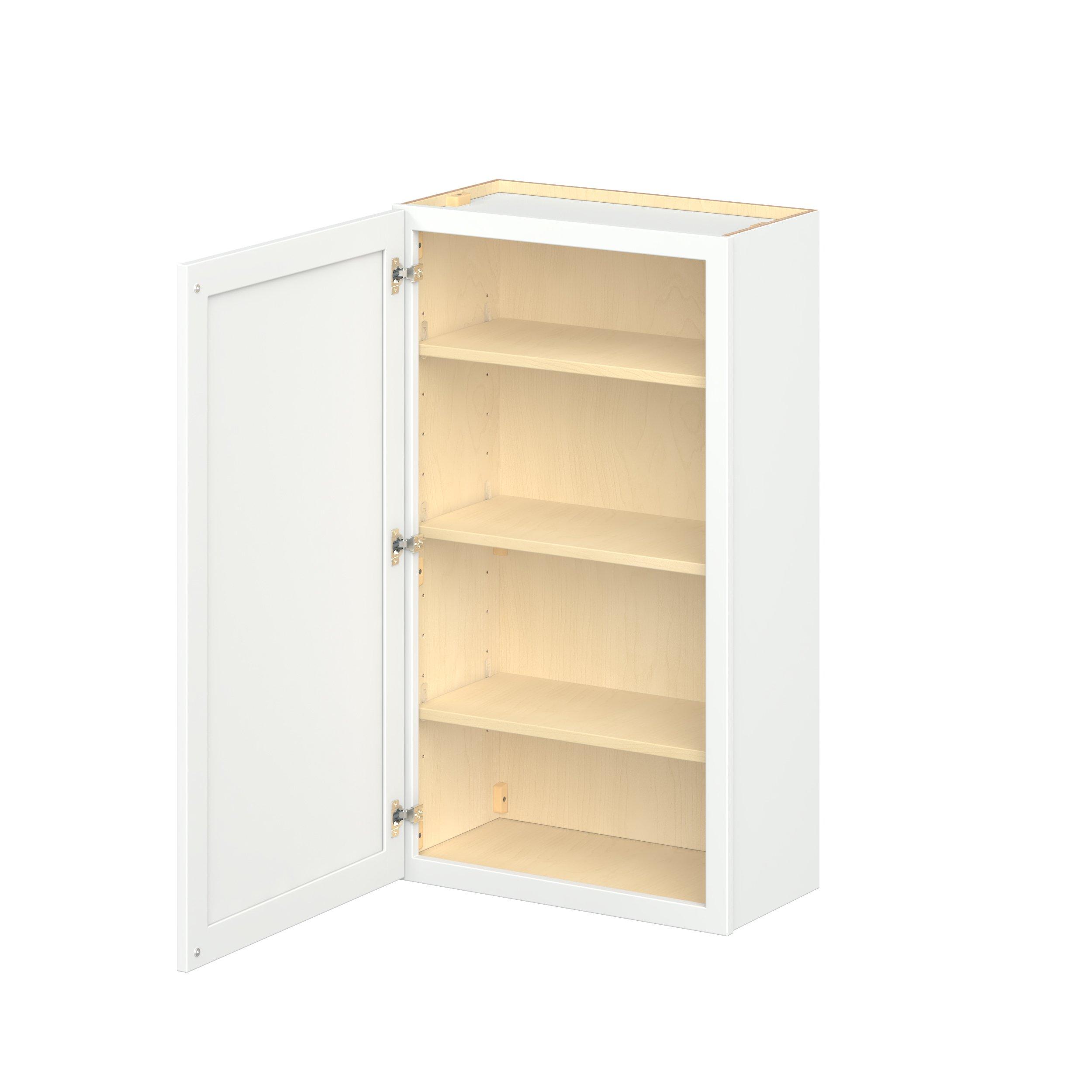 Baxley 24 in. Painted Pure White Door Wall Cabinet