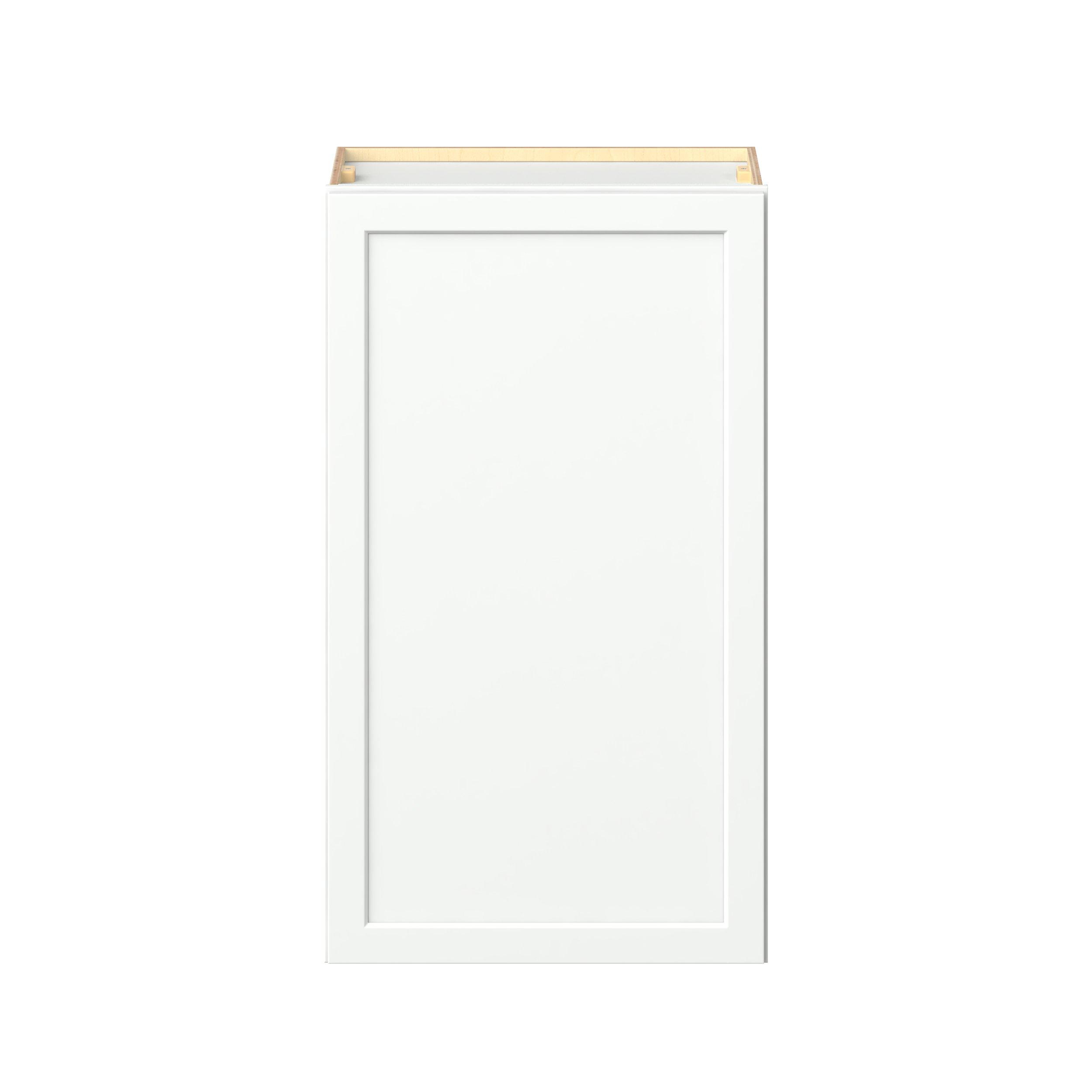 Baxley 24 in. Painted Pure White Door Wall Cabinet