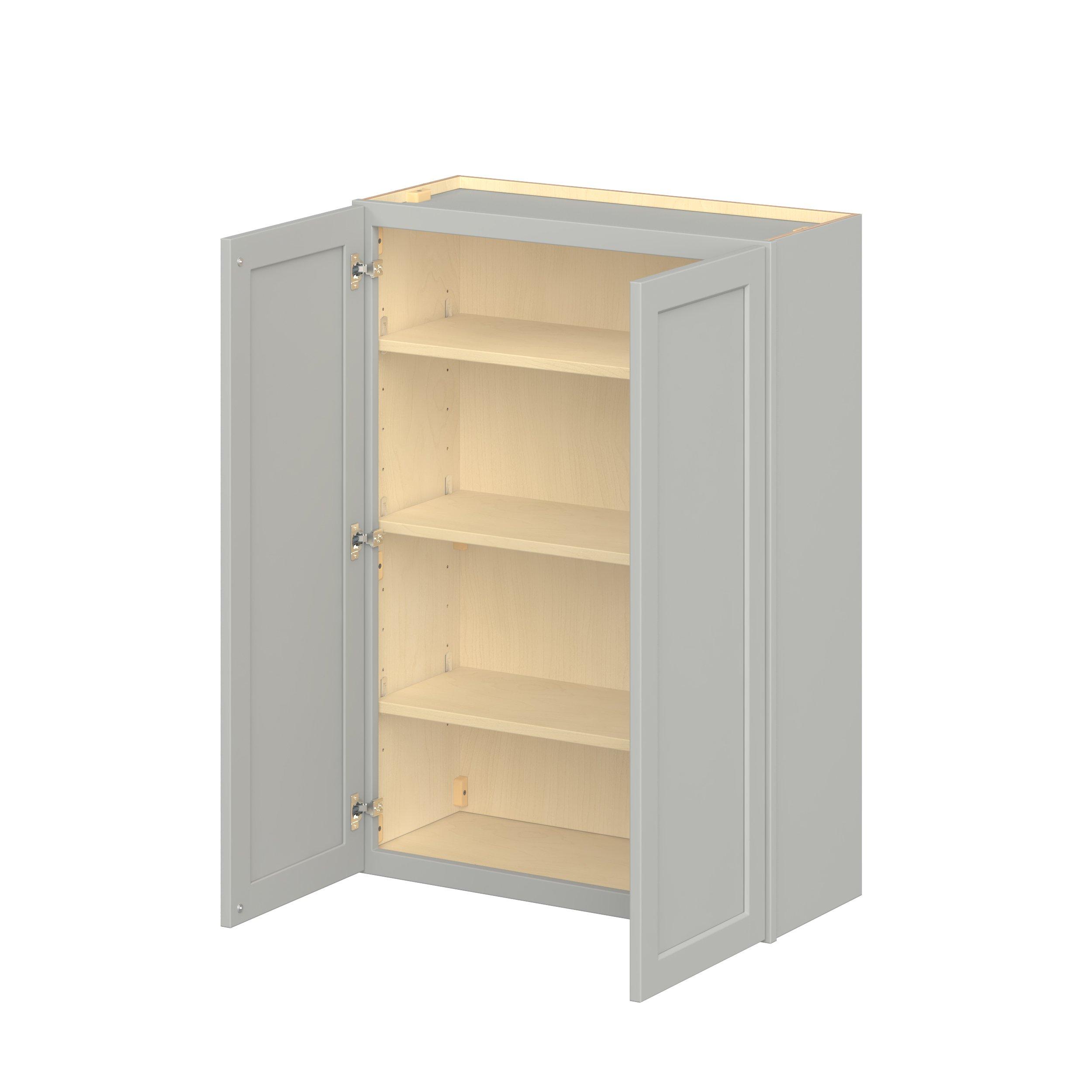 Baxley 2 Door Wall Cabinet