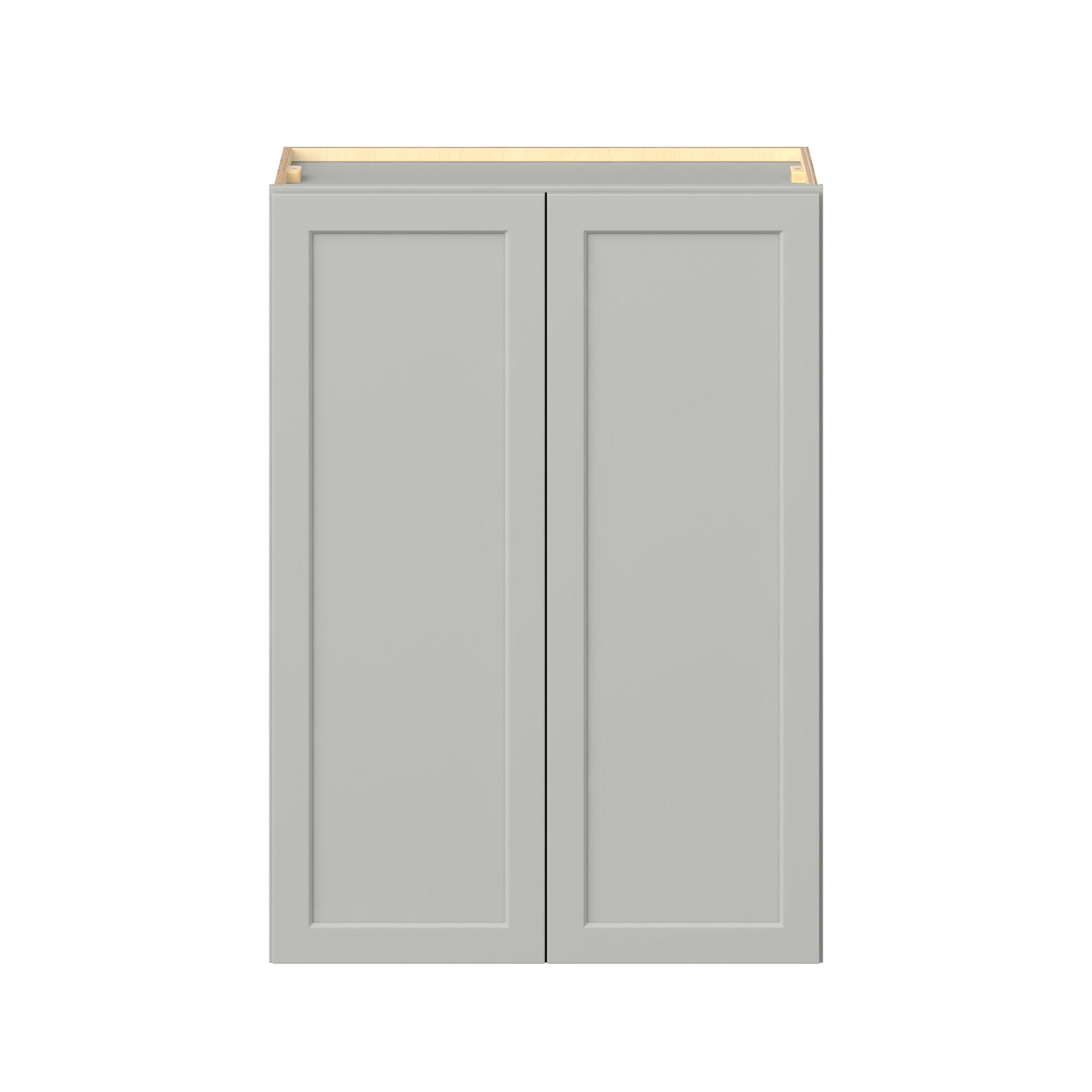 Baxley 2 Door Wall Cabinet