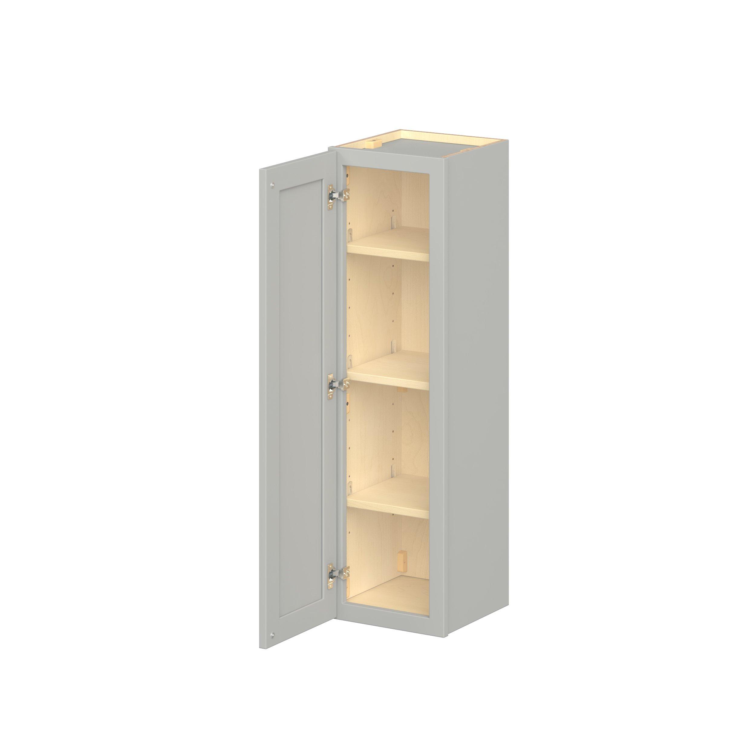 Baxley 1 Door Wall Cabinet