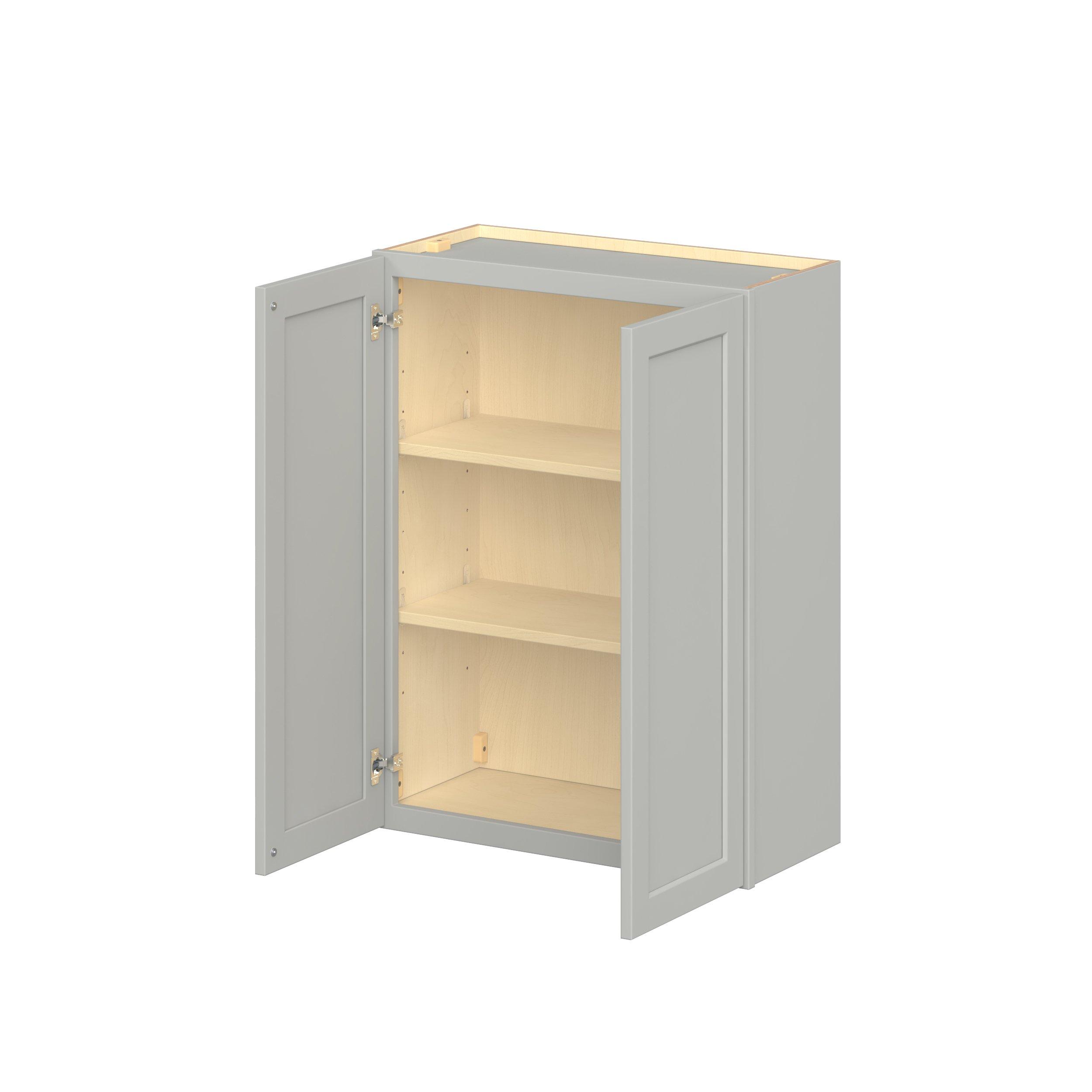 Baxley 2 Door Wall Cabinet
