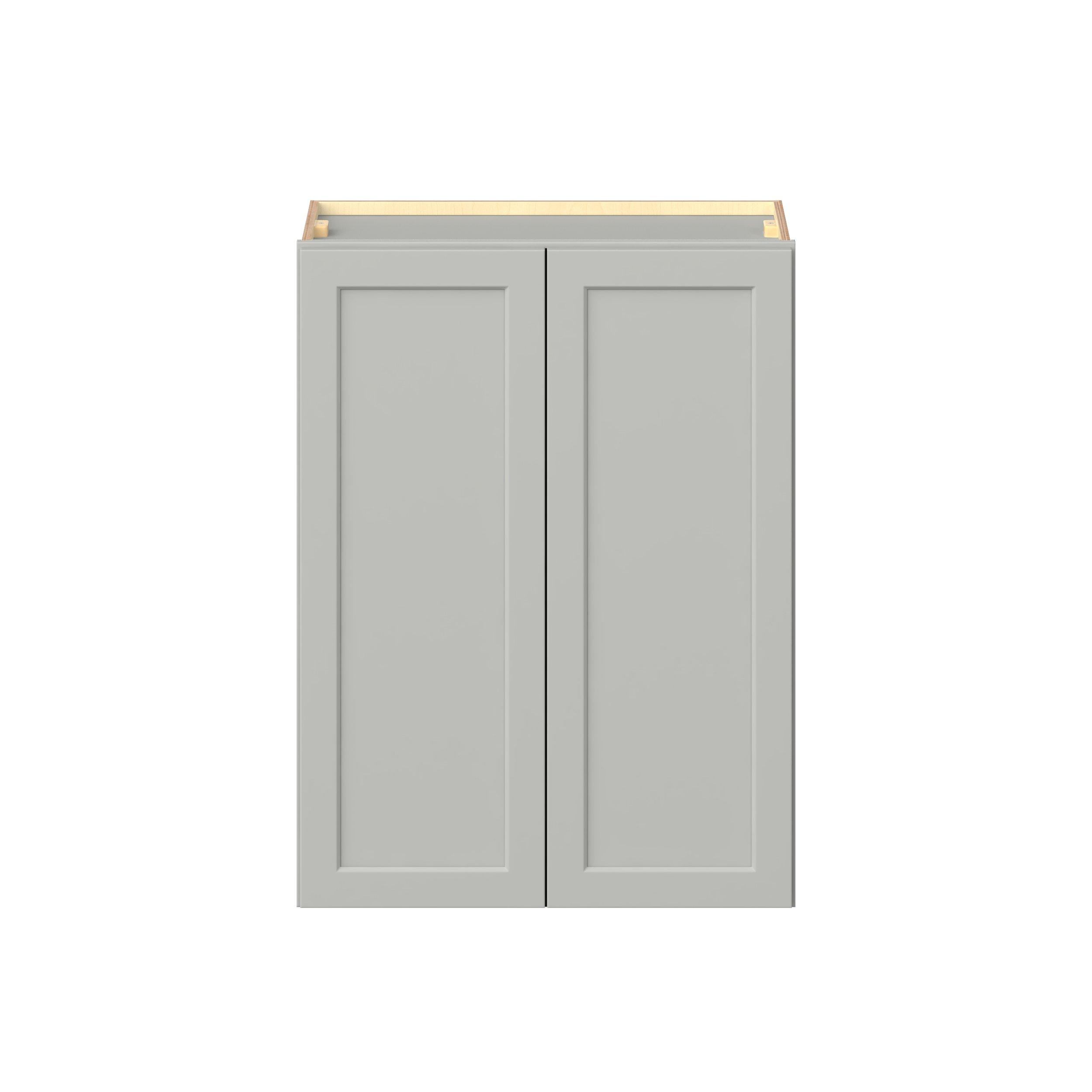 Baxley 2 Door Wall Cabinet