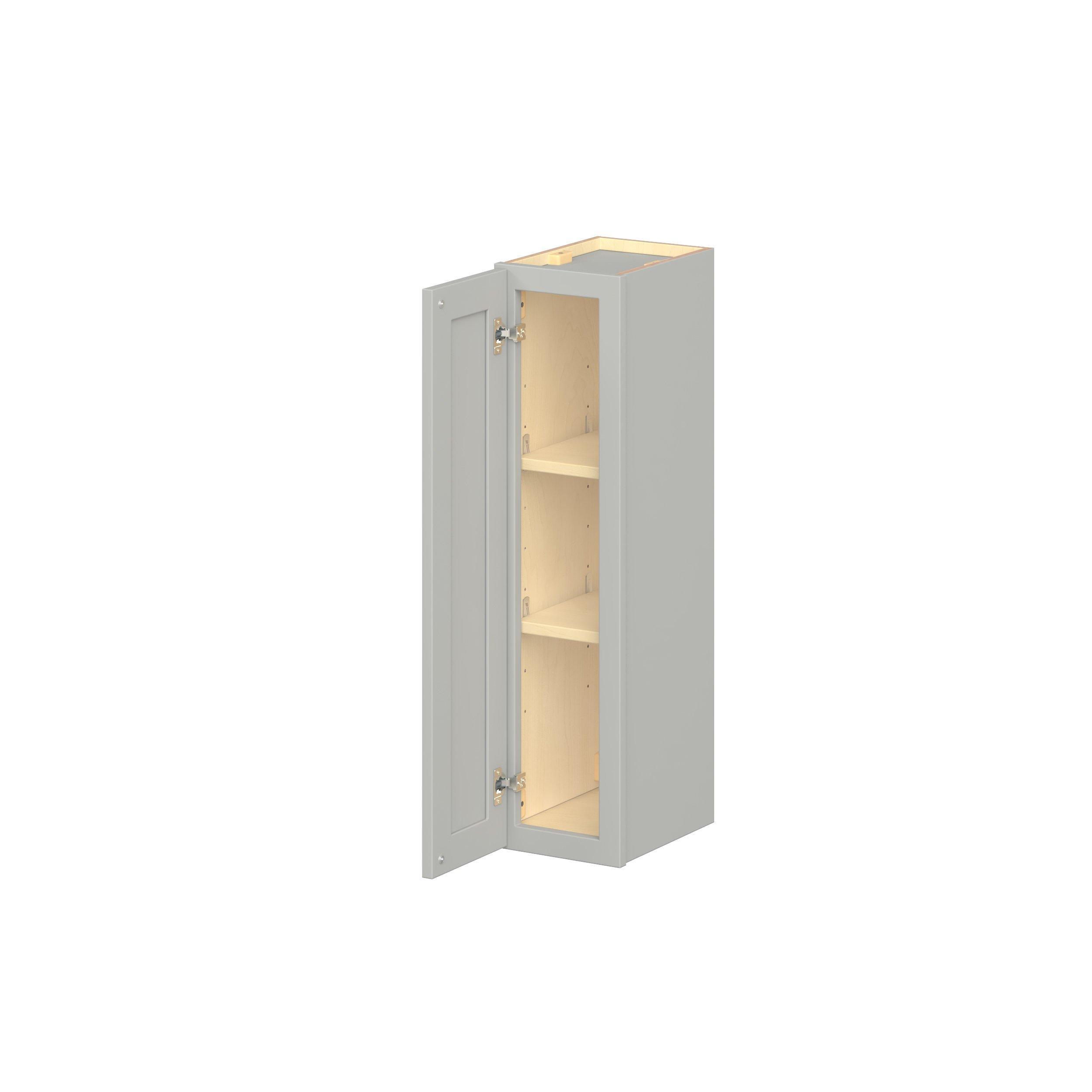 Baxley 1 Door Wall Cabinet