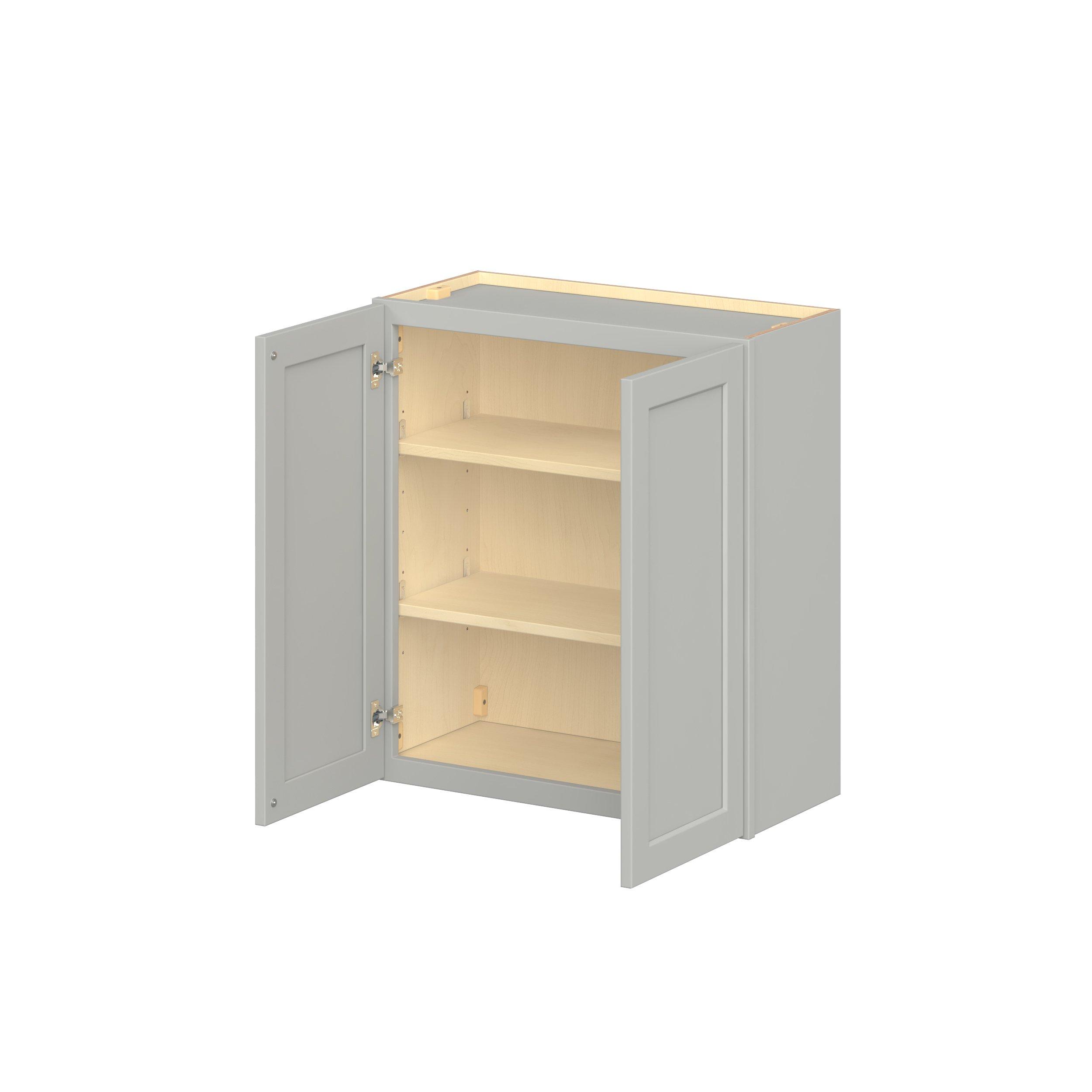 Baxley 2 Door Wall Cabinet