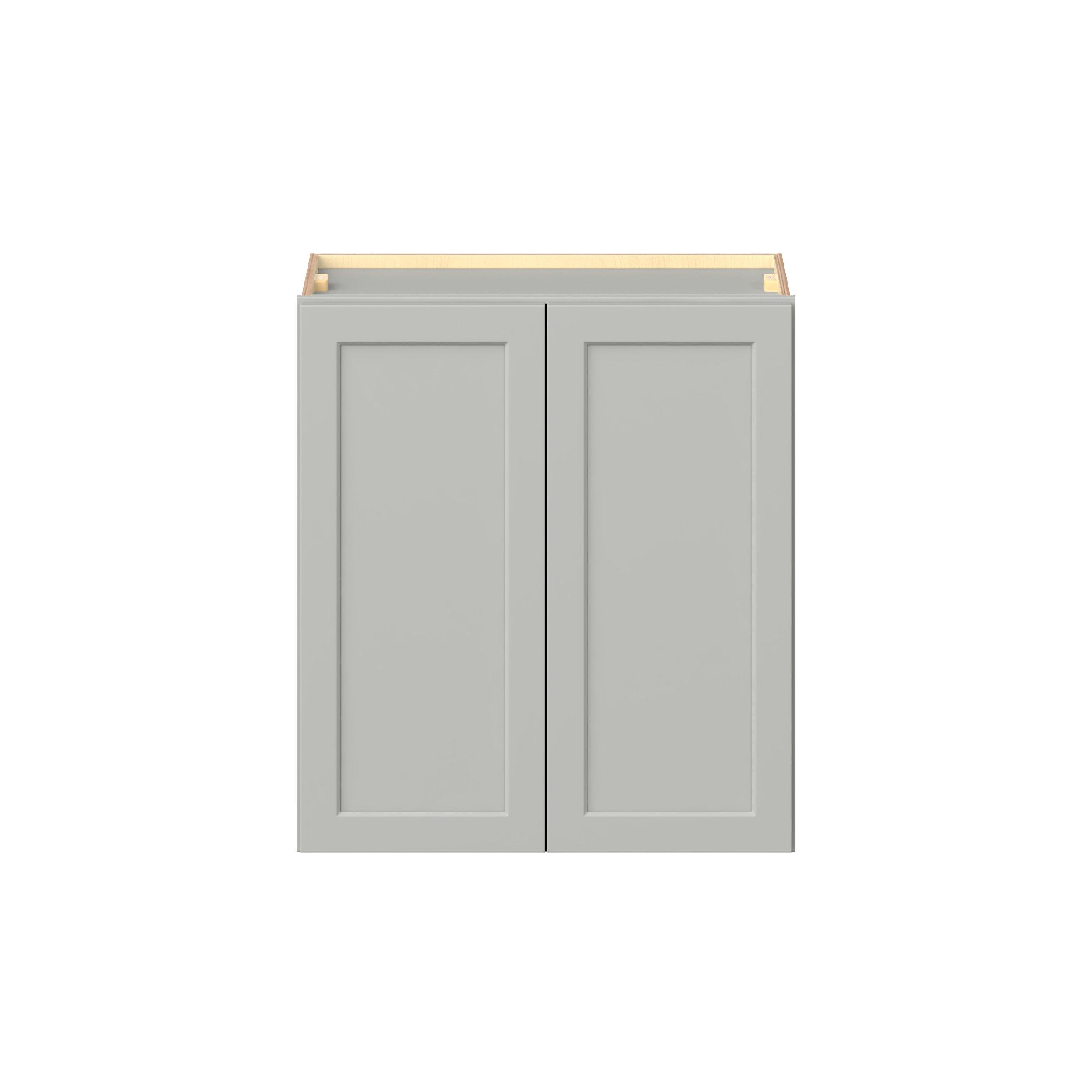 Baxley 2 Door Wall Cabinet