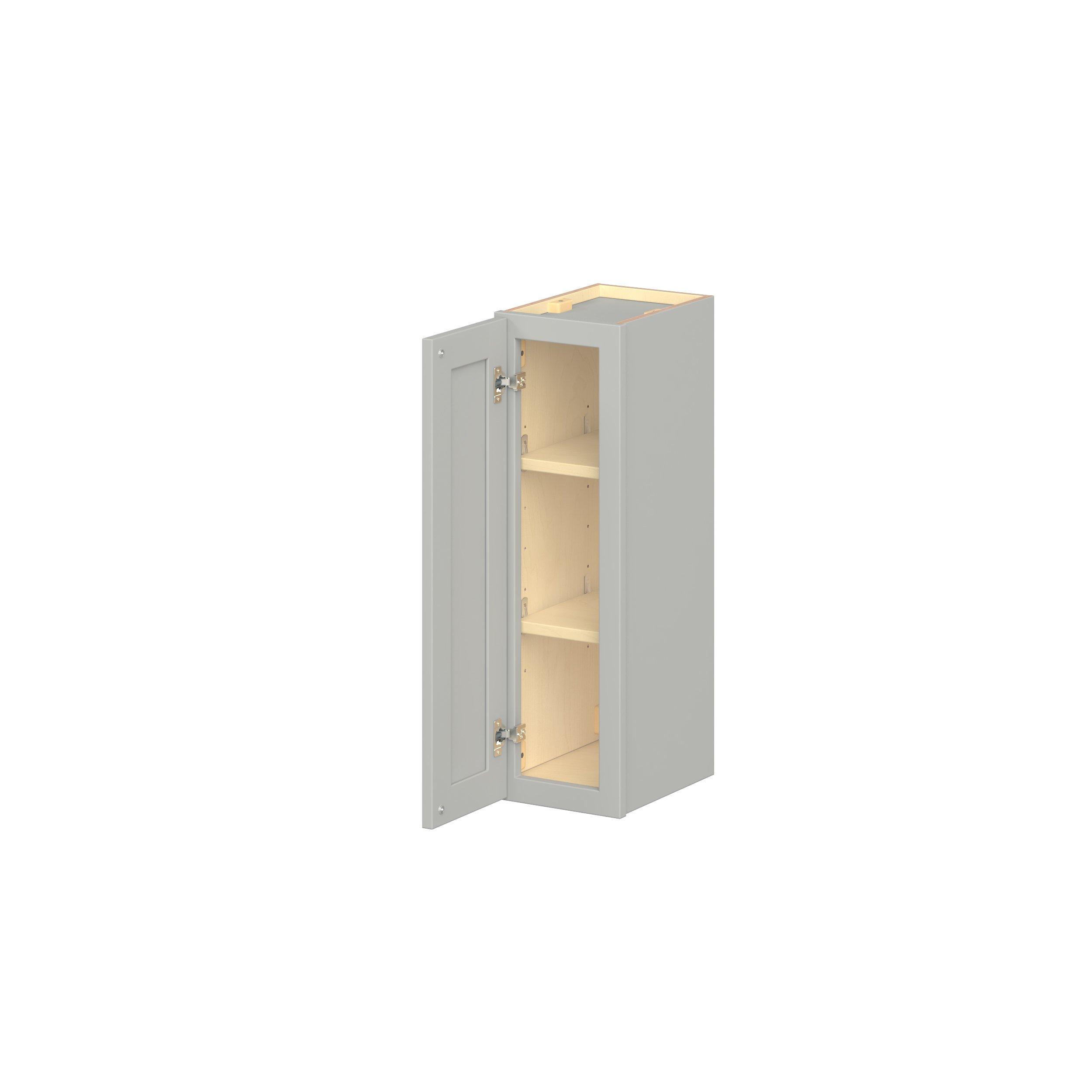 Baxley 1 Door Wall Cabinet