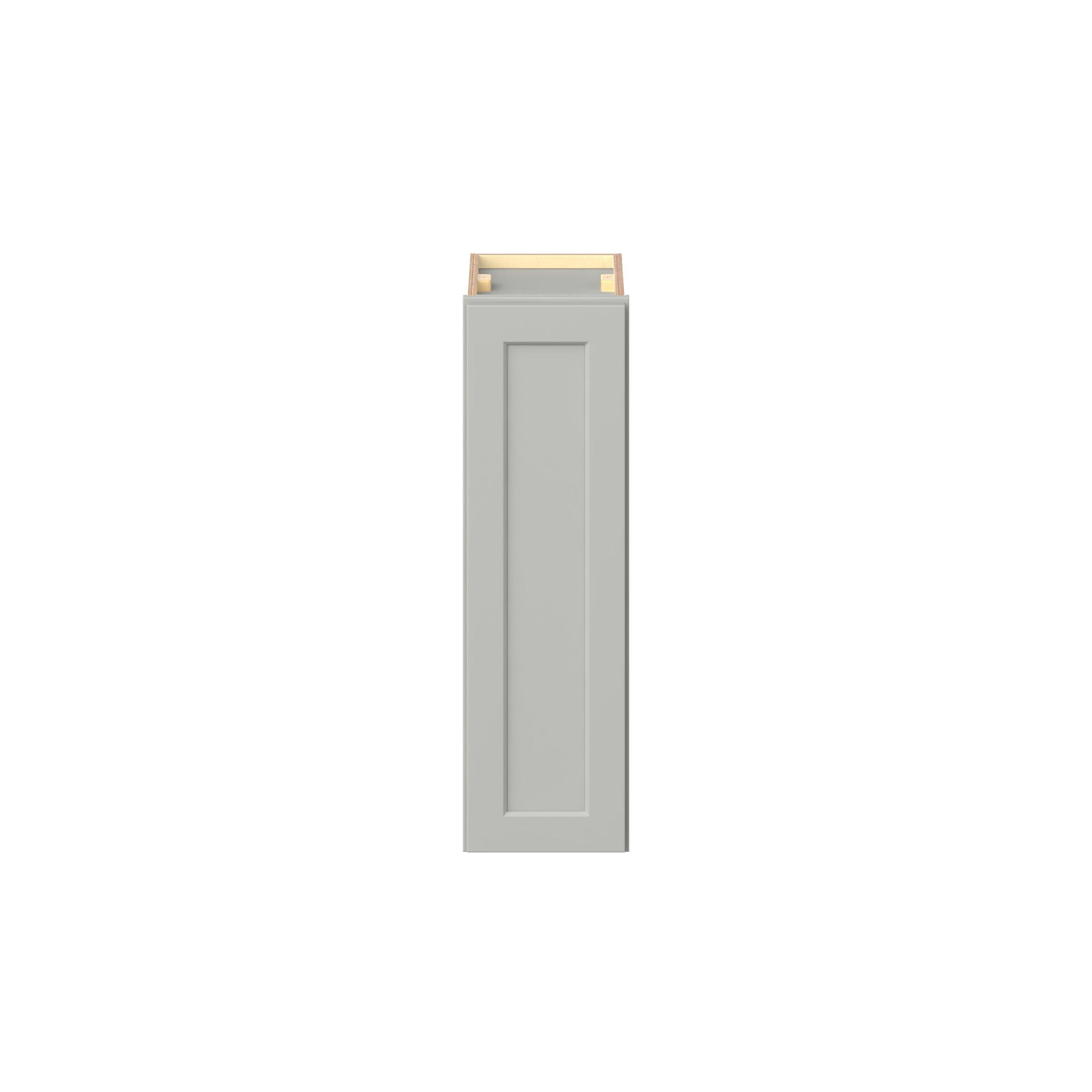 Baxley 1 Door Wall Cabinet