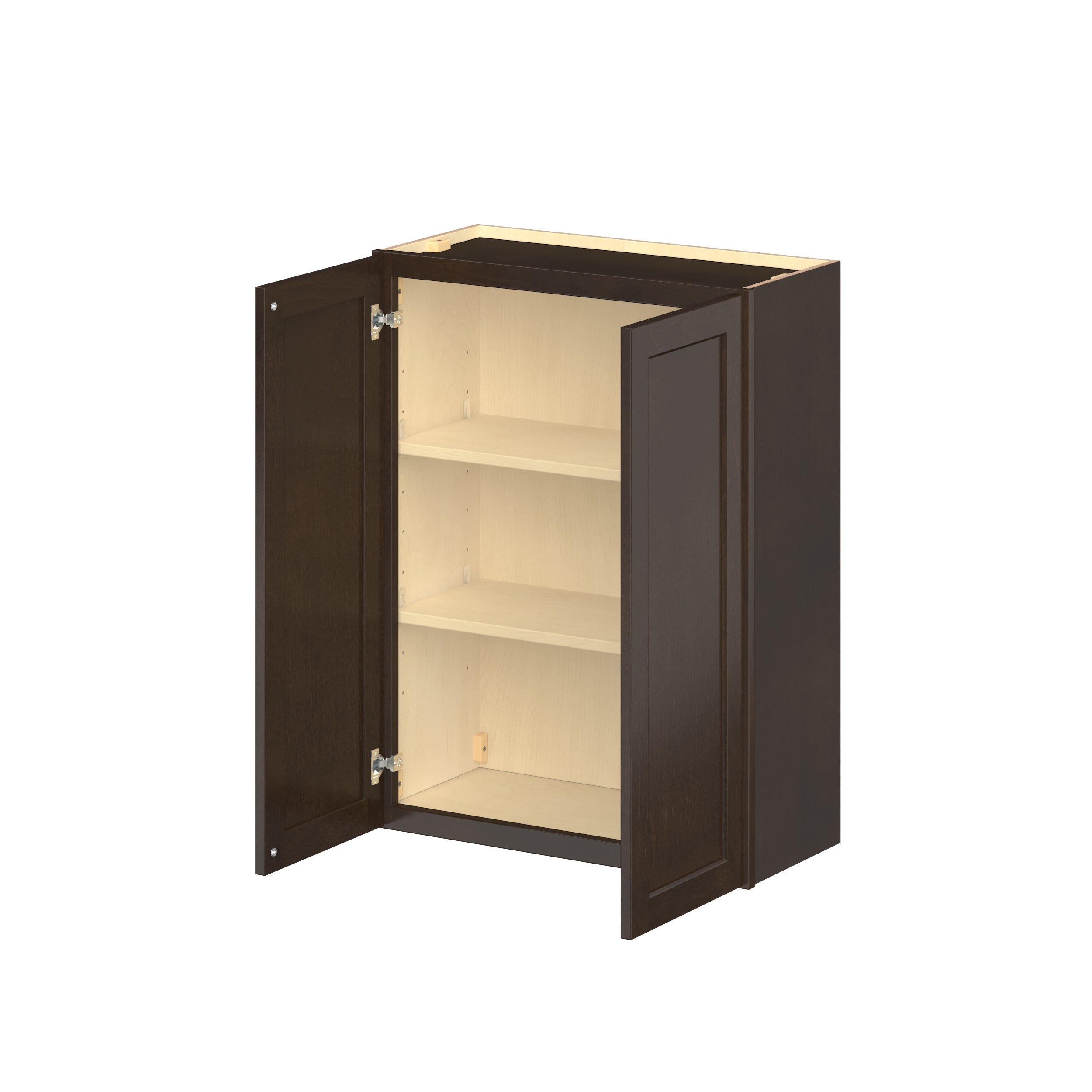 Baxley 2 Door Wall Cabinet