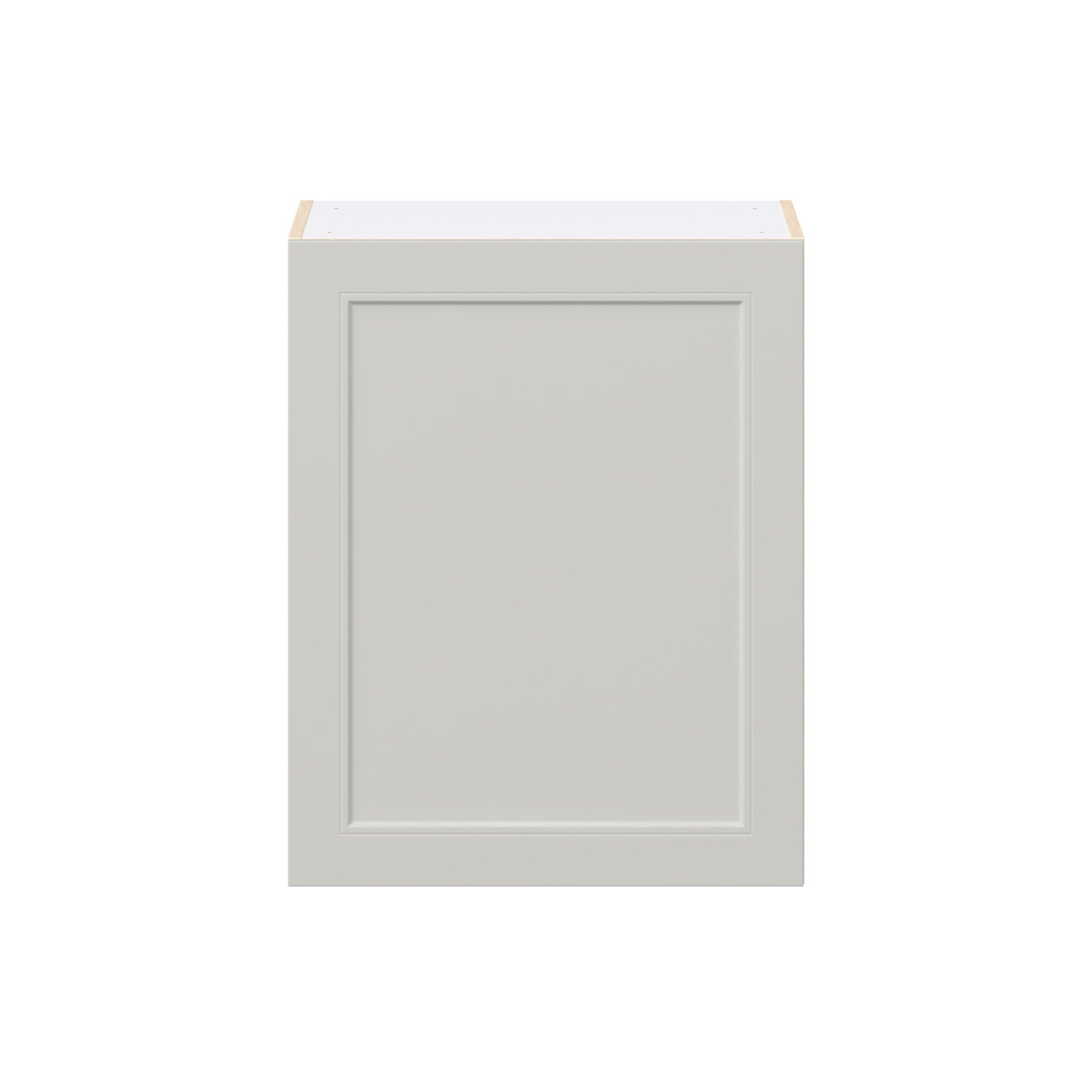Lenox 24 in. Painted Light Gray Door Wall Cabinet