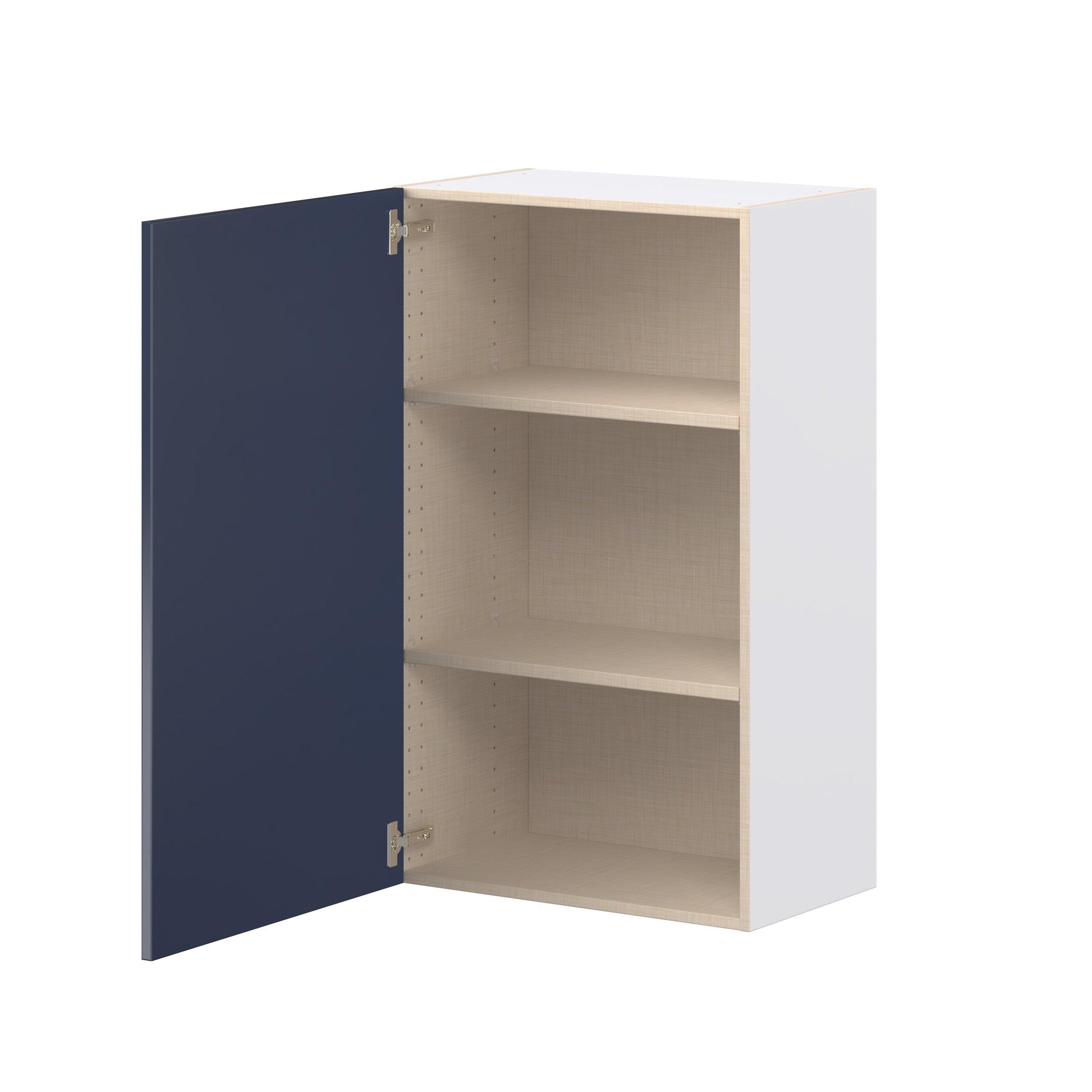 Peachtree 24 in. Painted Midnight Blue Door Wall Cabinet