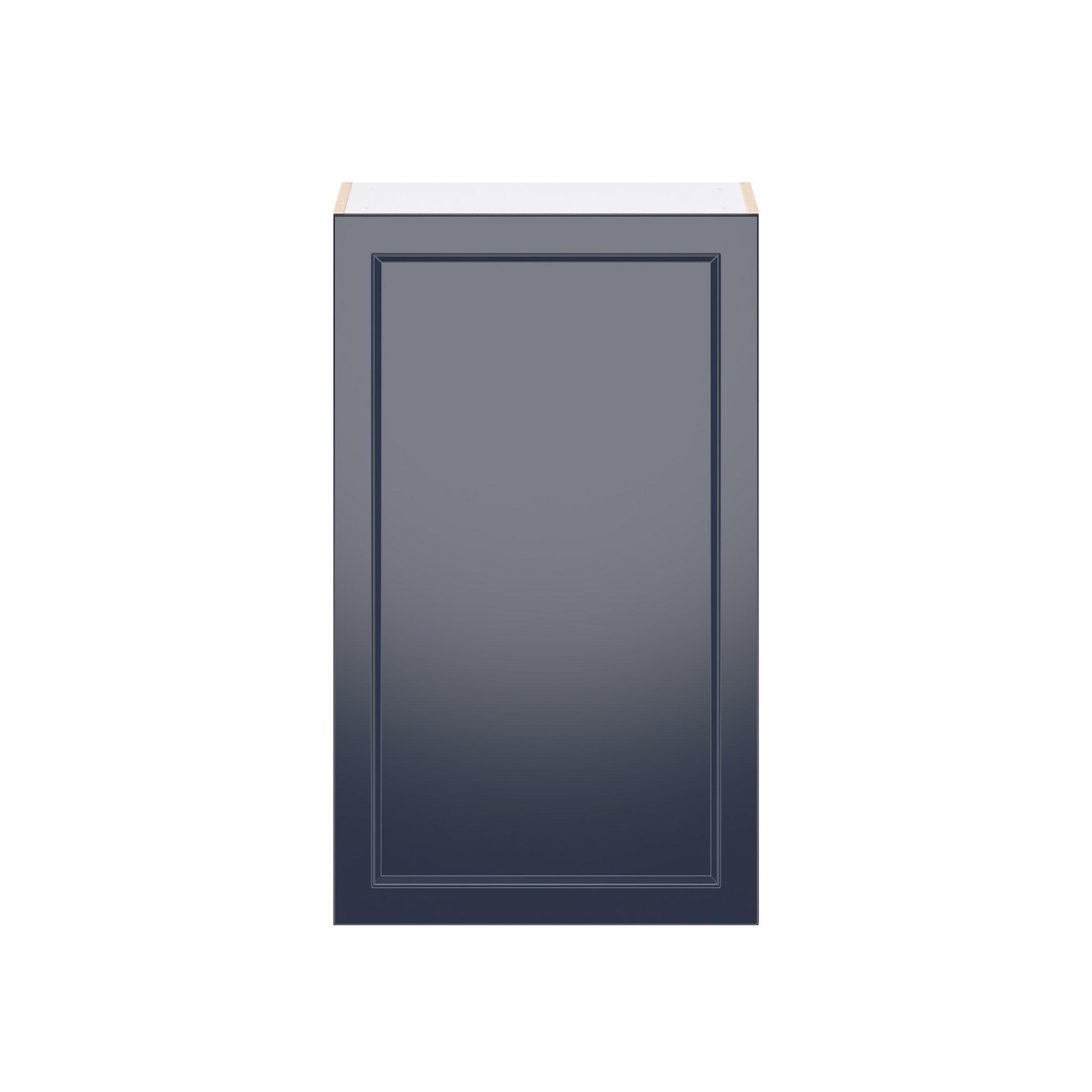 Peachtree 24 in. Painted Midnight Blue Door Wall Cabinet
