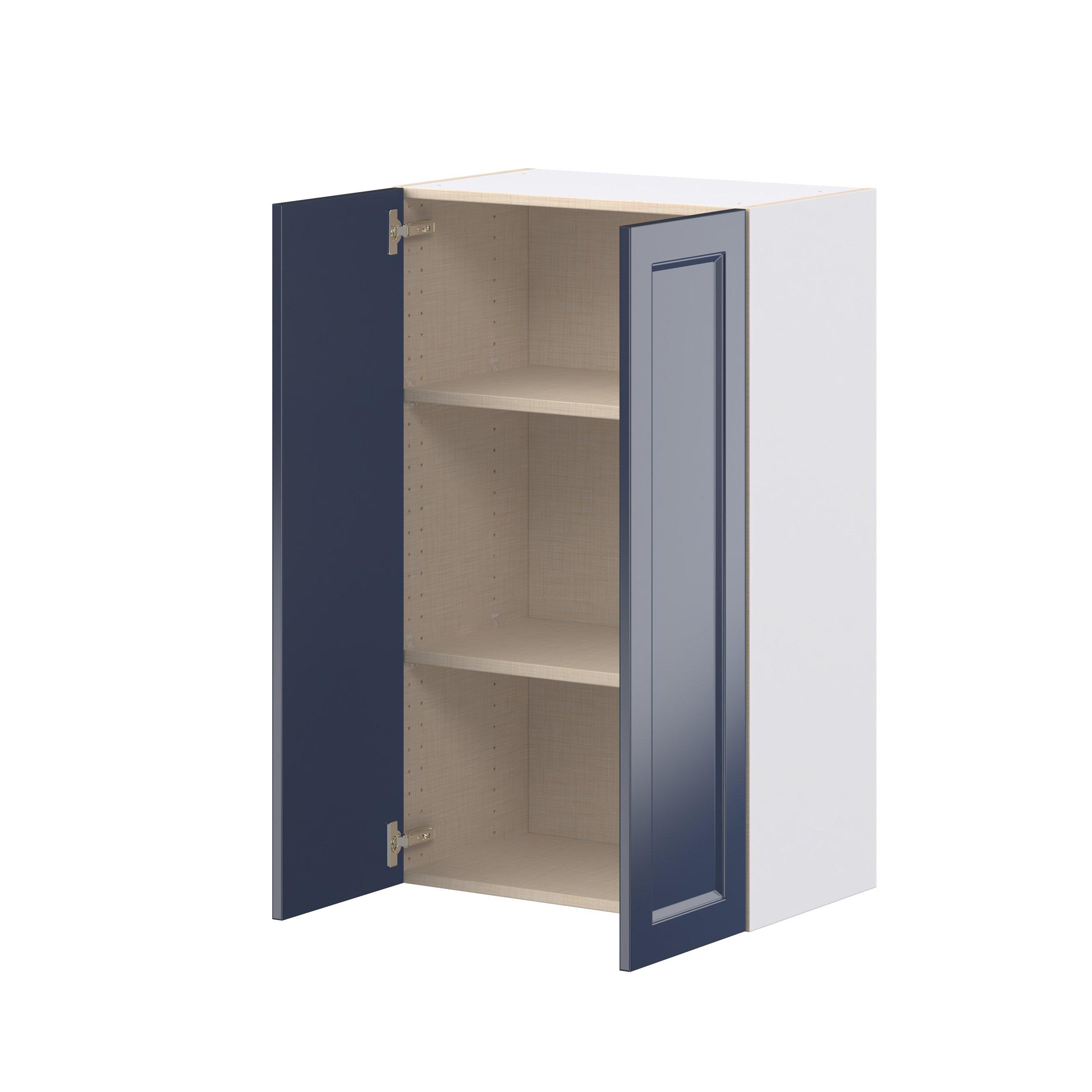 Peachtree 24 in. Painted Midnight Blue Door Wall Cabinet