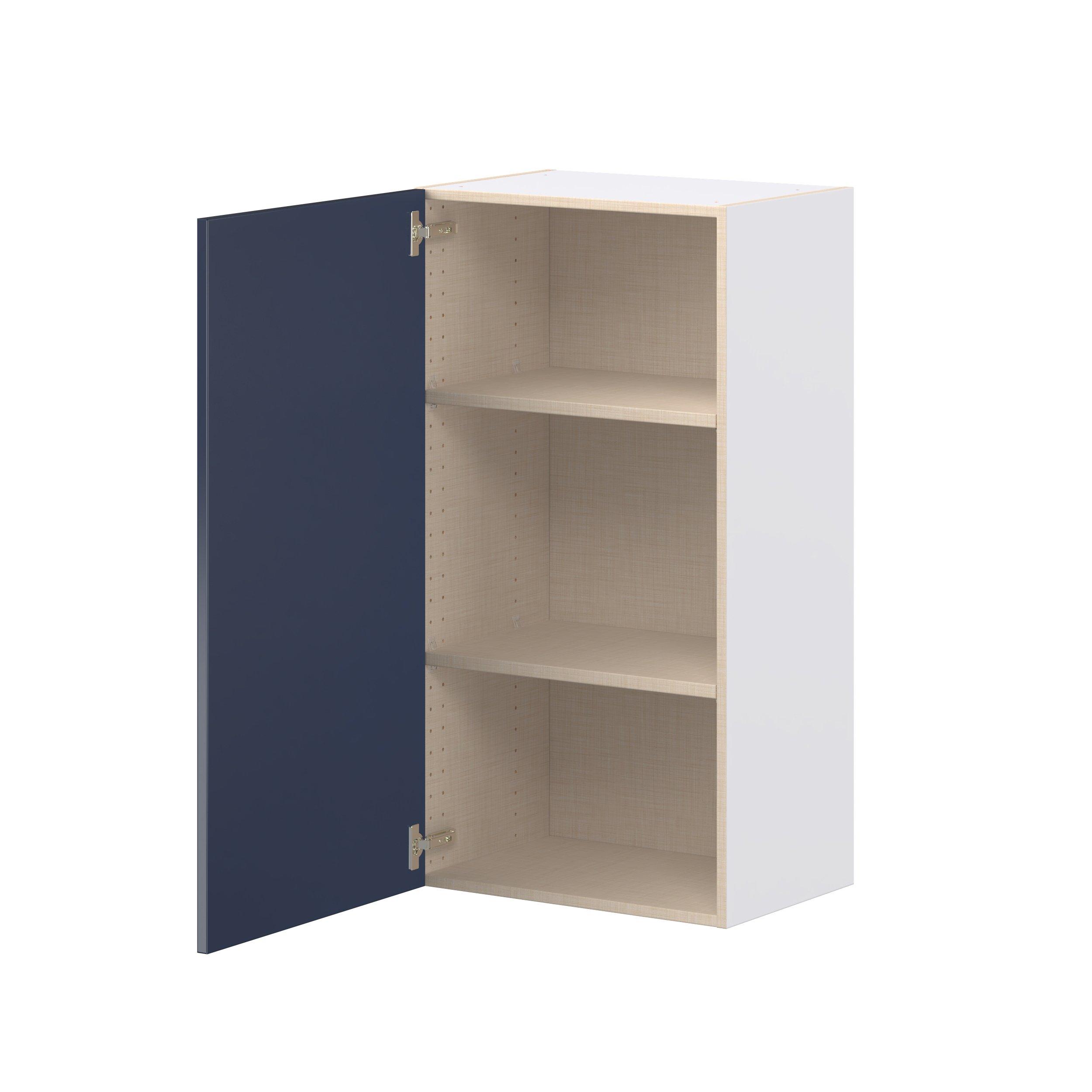 Peachtree 21 in. Painted Midnight Blue Door Wall Cabinet