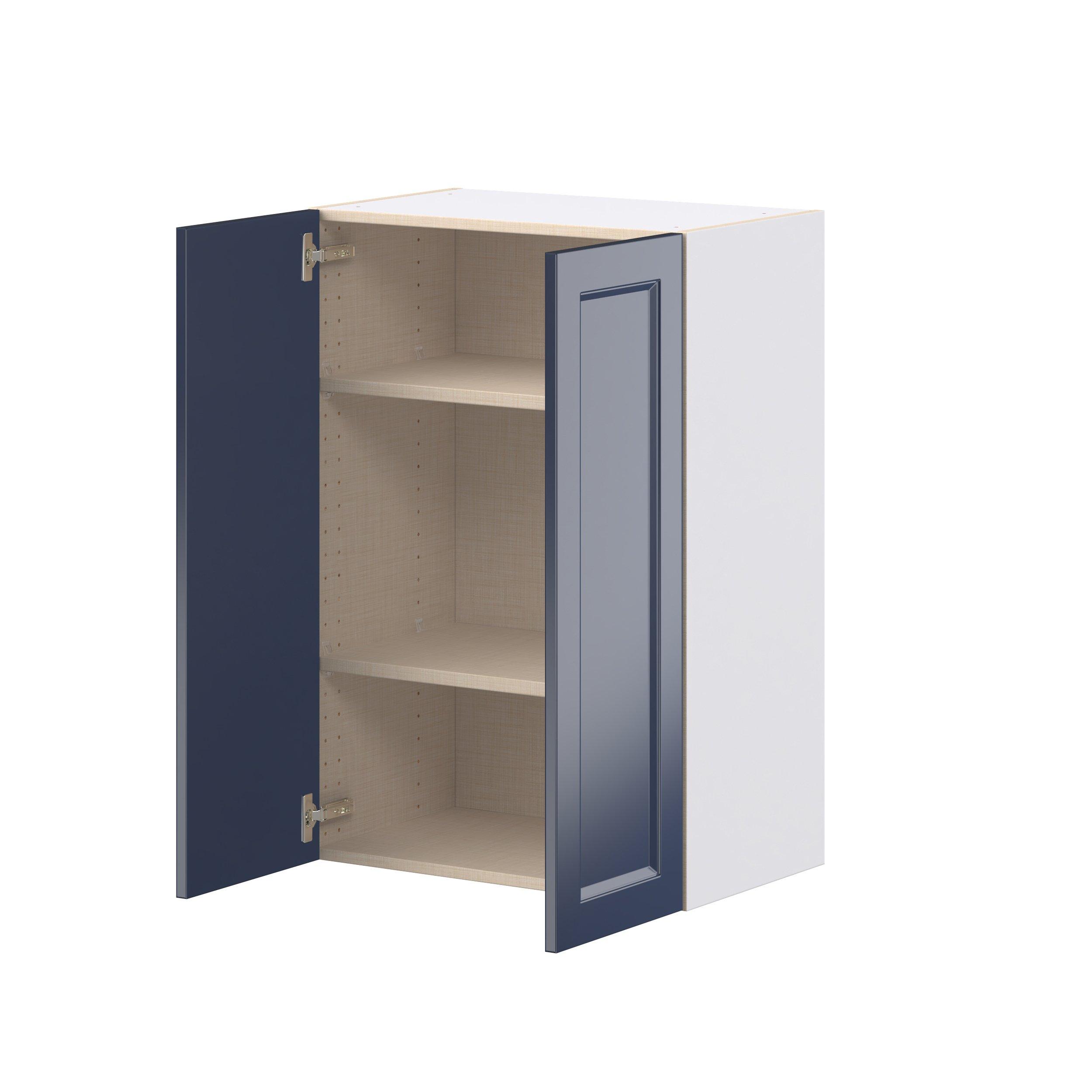 Peachtree 24 in. Painted Midnight Blue Door Wall Cabinet