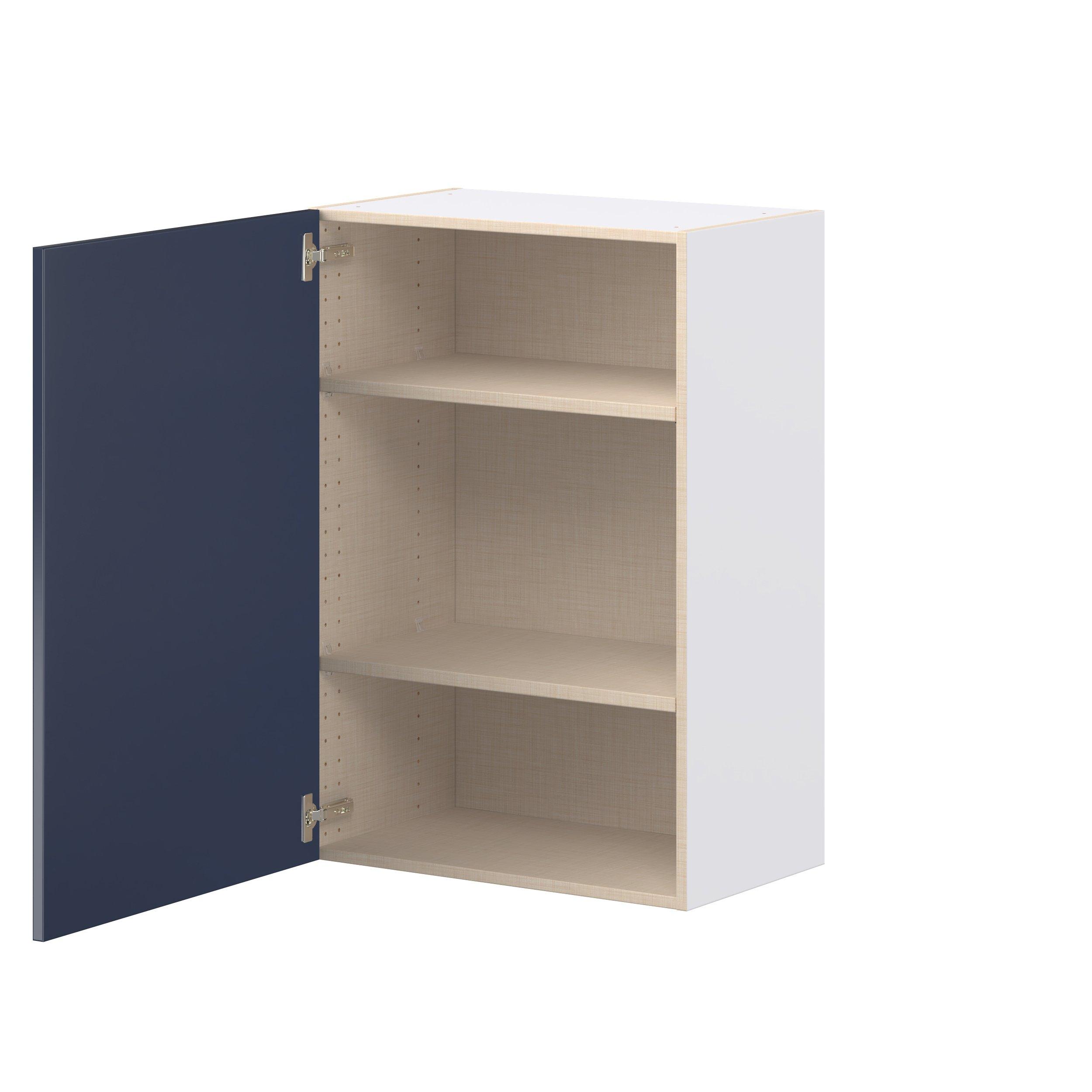Peachtree 24 in. Painted Midnight Blue Door Wall Cabinet