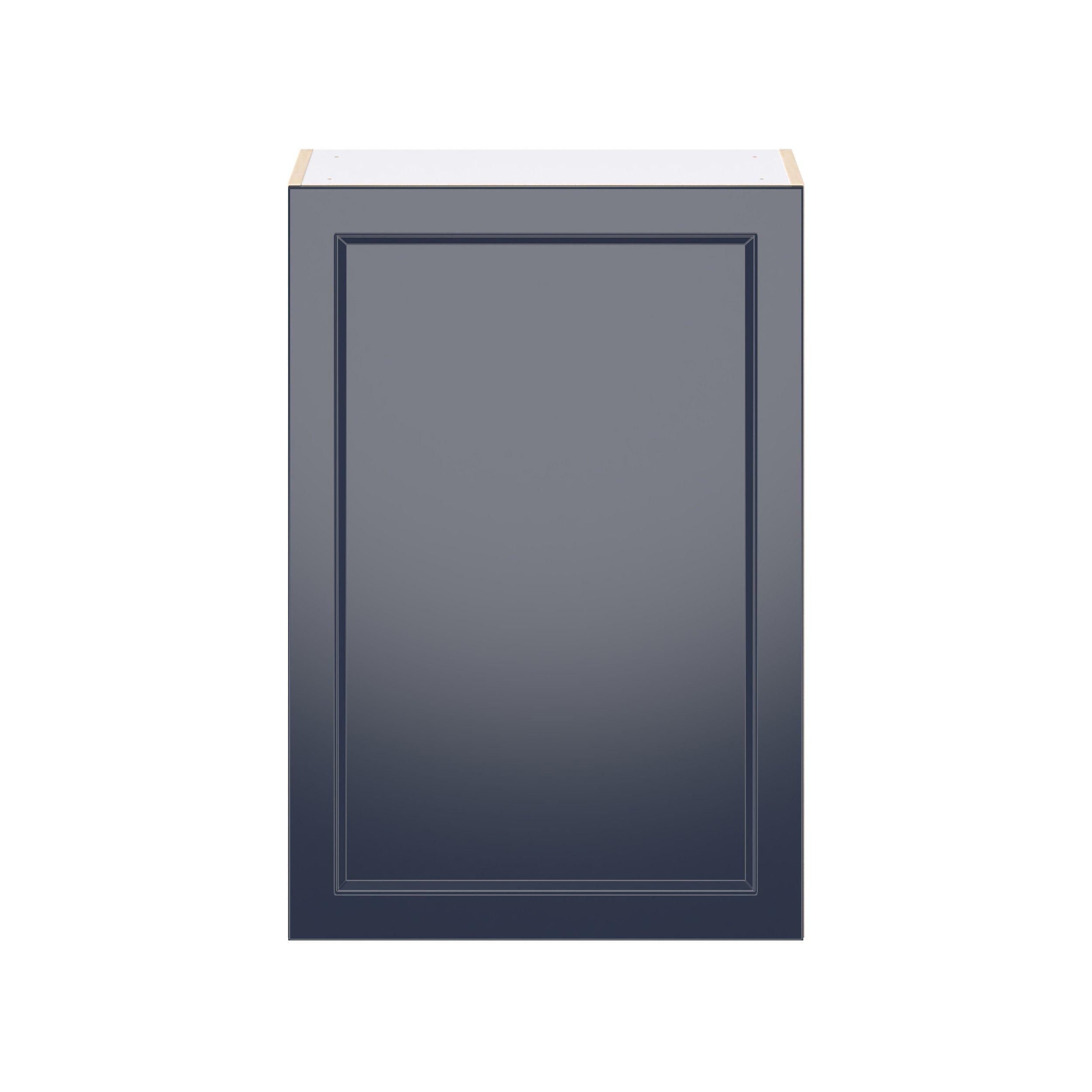 Peachtree 24 in. Painted Midnight Blue Door Wall Cabinet